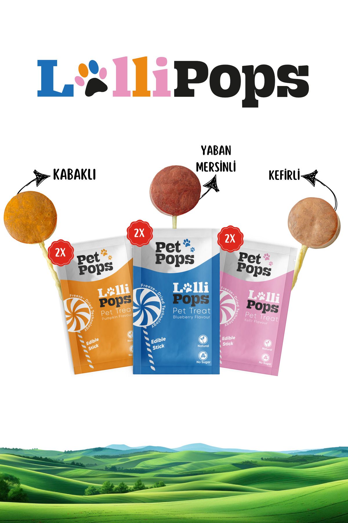 PET POPS 6'lı Freeze Dry Lollipops Lezzet Paketi – Doğal Ve Sağlıklı Ödül! - Kedi Lolipopu