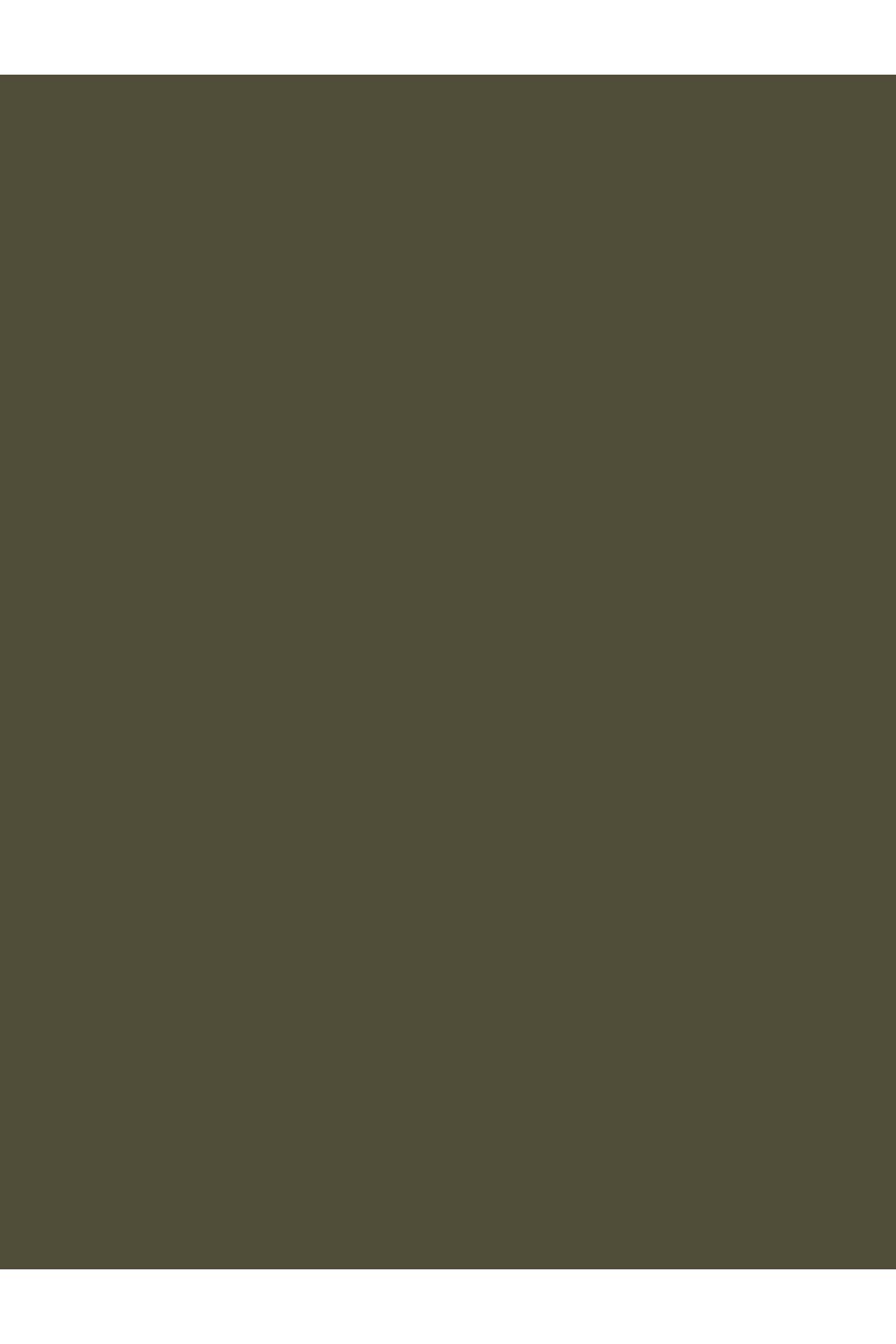 beaulis-Spin It Stick Eyeshadow Waterproof Shimmer Pencil Shadow 2