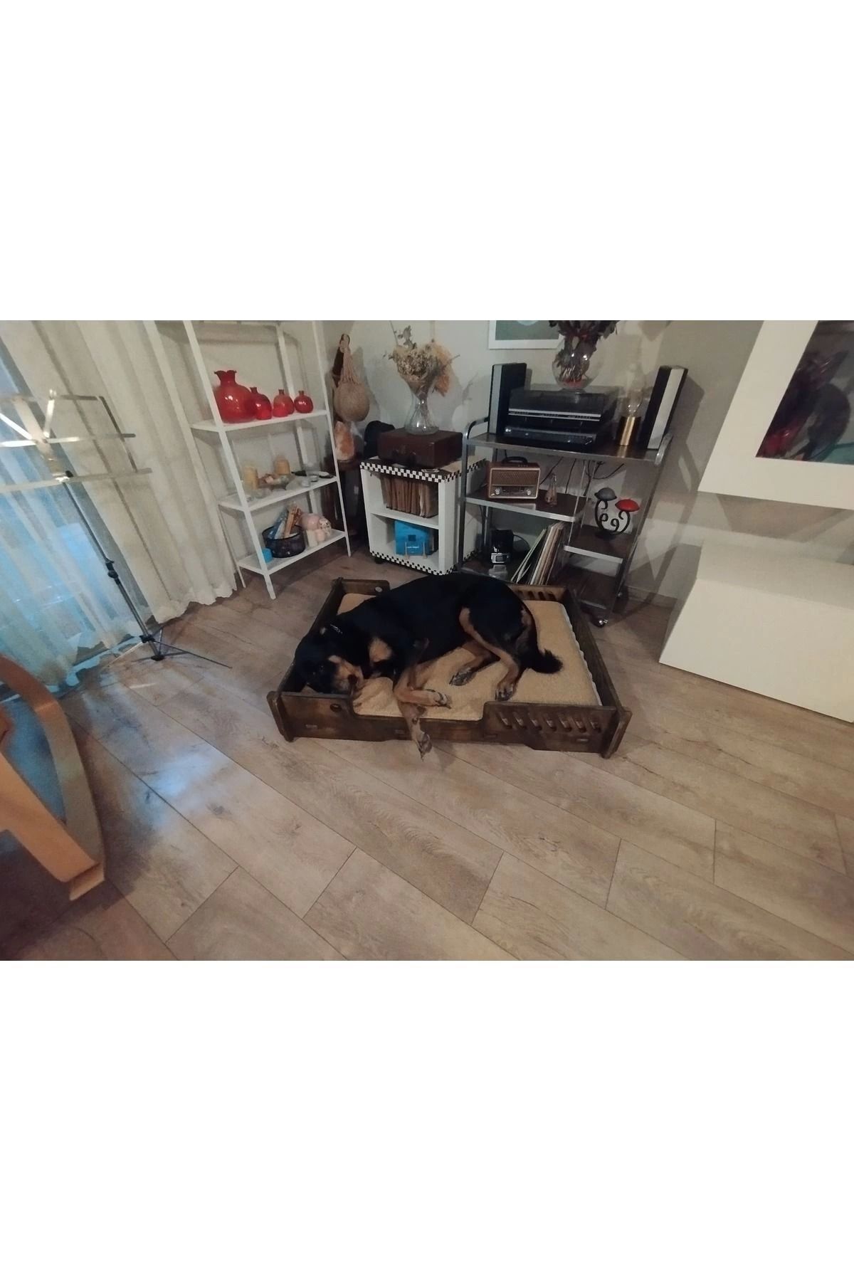 Evnalia Köpek Yatağı 70*100 Cm Bilboa Rahat Ve Yıkanabilir Minder Yatak Dahil