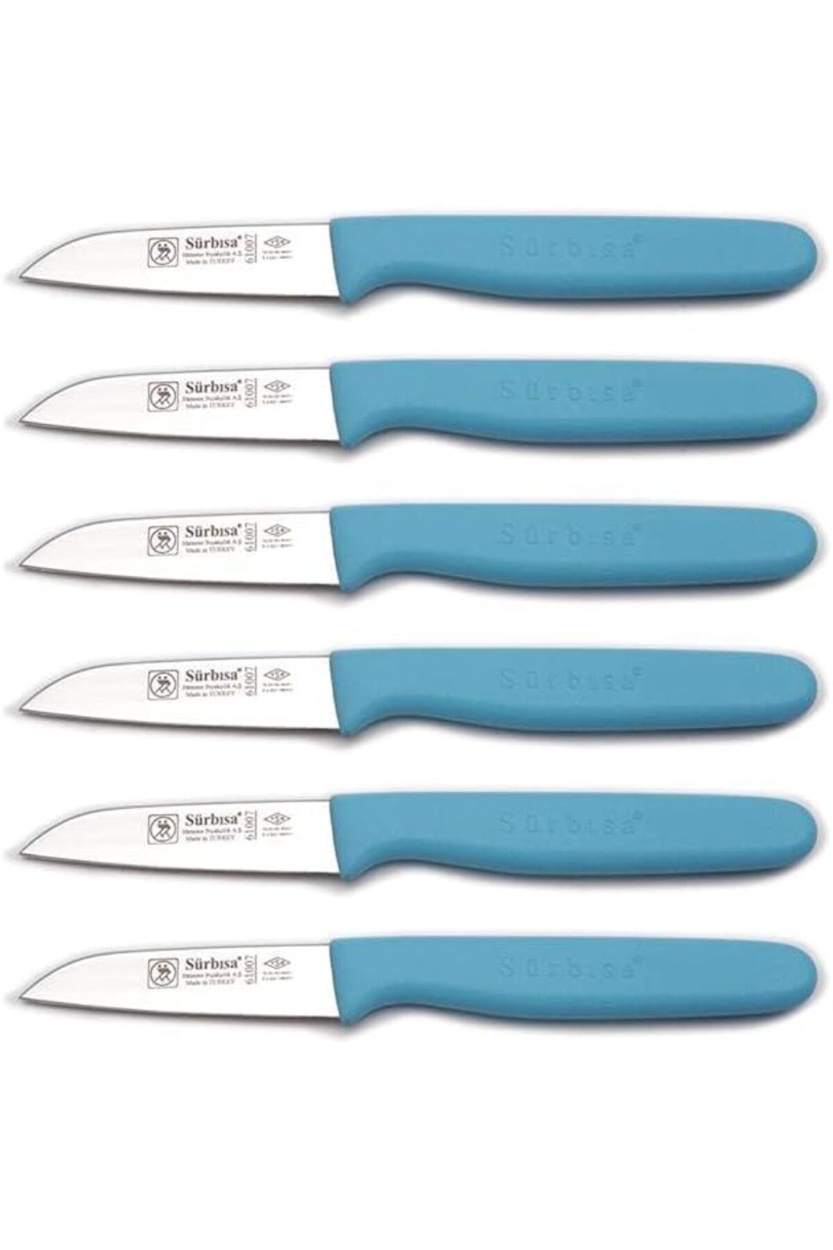 STOREMAX cmllashop Sürmene 6'lı Meyve Bıçağı Seti 61007 (Turkuaz) 542093