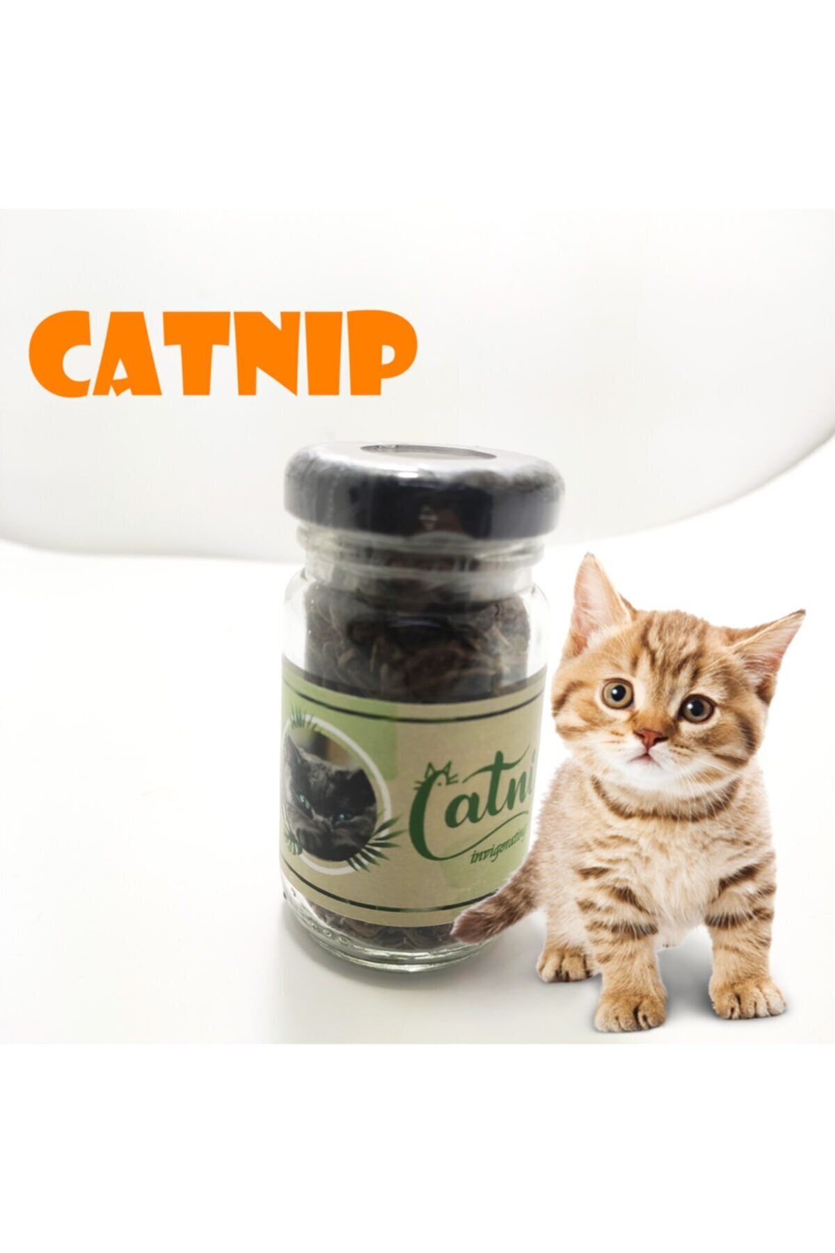 YONCA MODA Lisinya174 Catnip Doğal Kedi Otu - Kedi Nanesi - 458982-1453