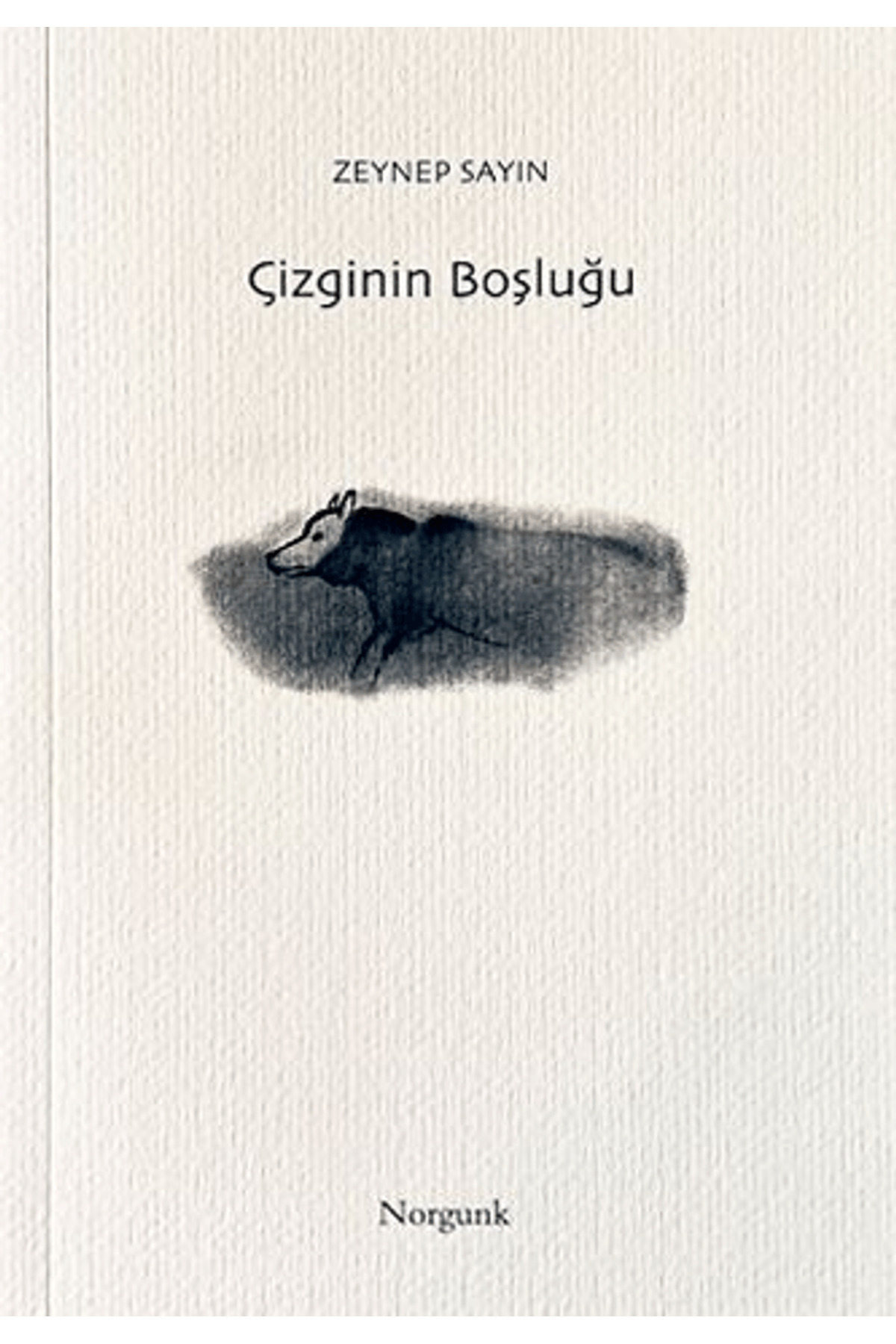 Norgunk Yayıncılık Çizginin Boşluğu / Zeynep Sayın / Norgunk Yayıncılık / 9786257917308