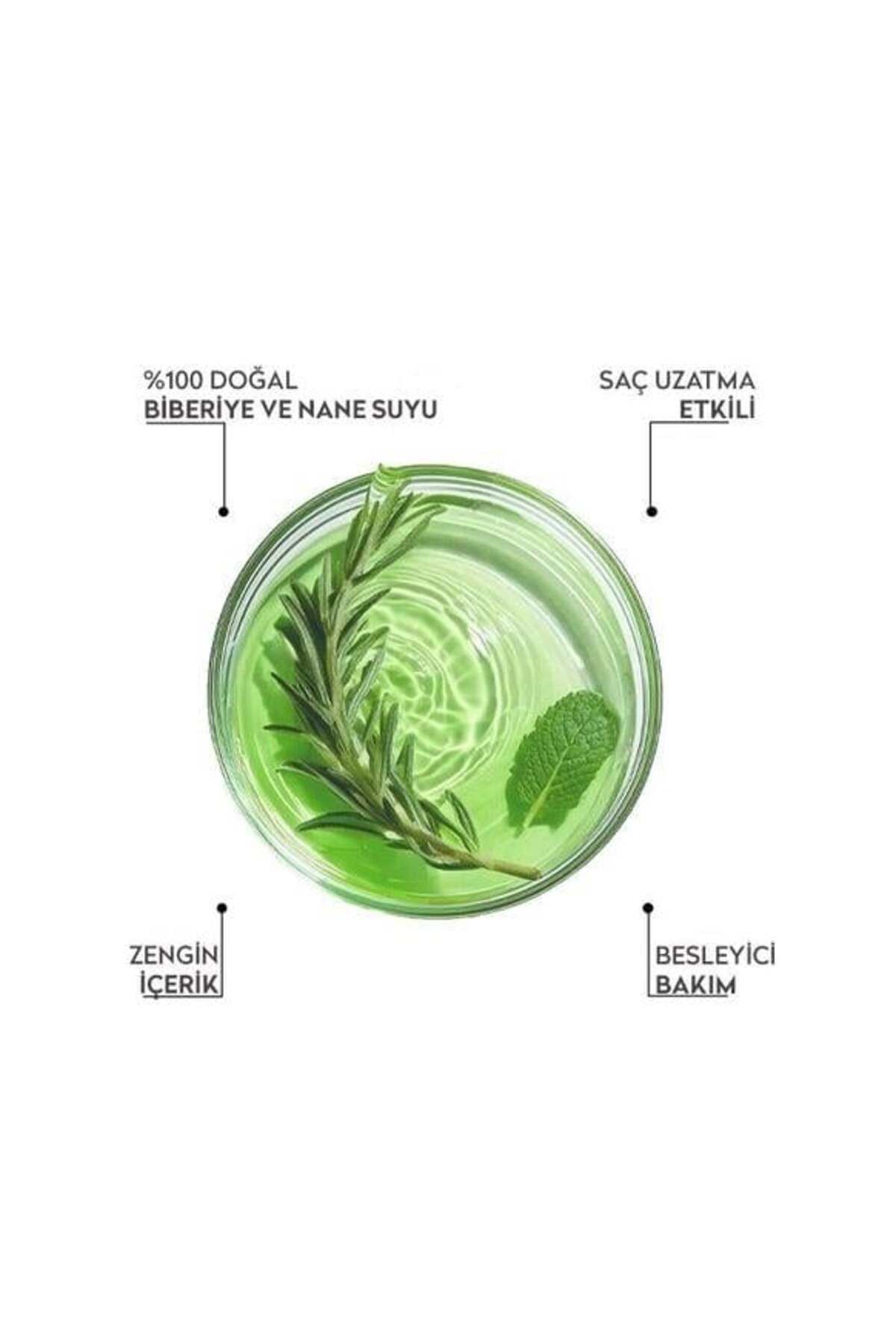 Dermokil-100% Natural Rosemary and Mint Water 250 ml 3