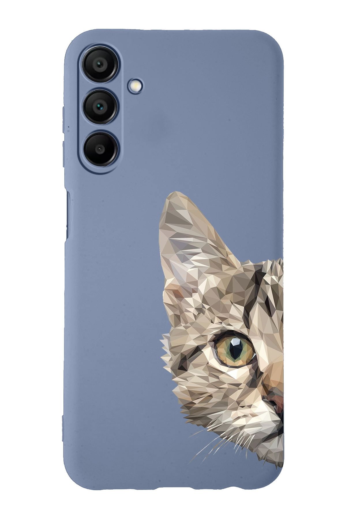 PrintiFy Samsung Galaxy  M34 ile Uyumlu Catface Tasarımlı Petrol Lansman Kılıf