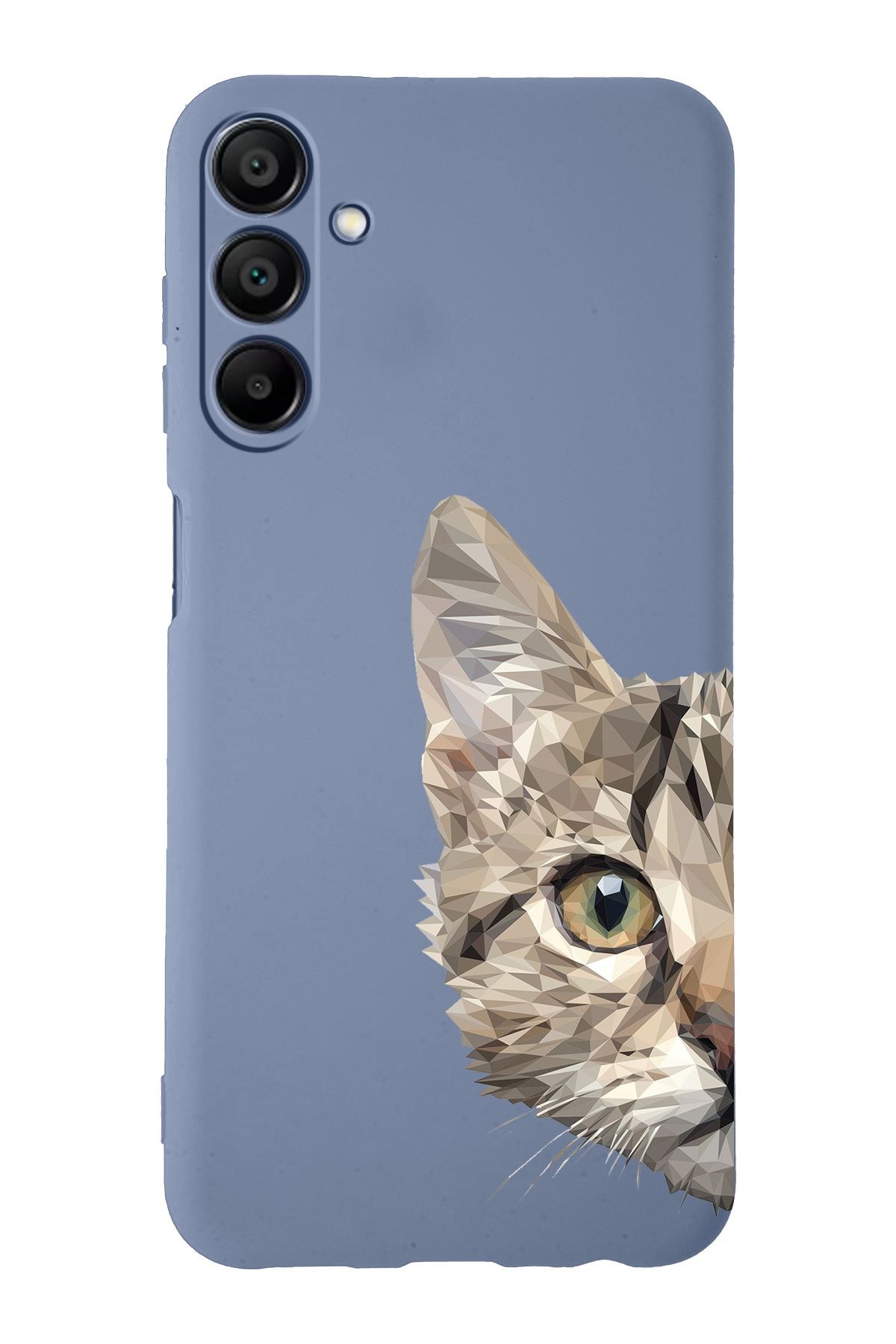 PrintiFy Samsung Galaxy  A25 ile Uyumlu Catface Tasarımlı Petrol Lansman Kılıf