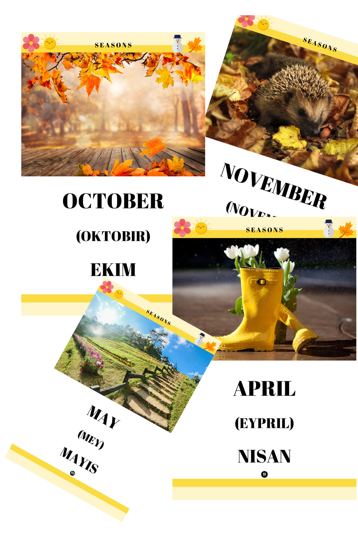 Baby İNGİLİZCE EĞİTİM FLASH KARTLARI - BLOK 5 fotoğrafı 3 (önizleme)