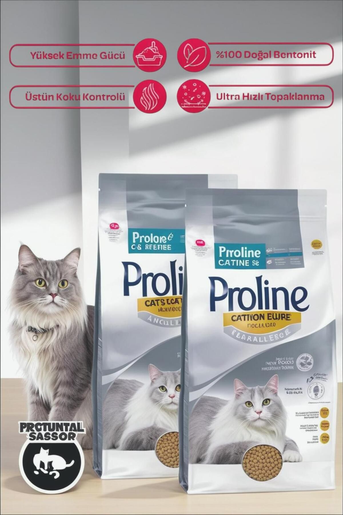 pro one KEDİ KUMU AKTİF KARBON 10L X2