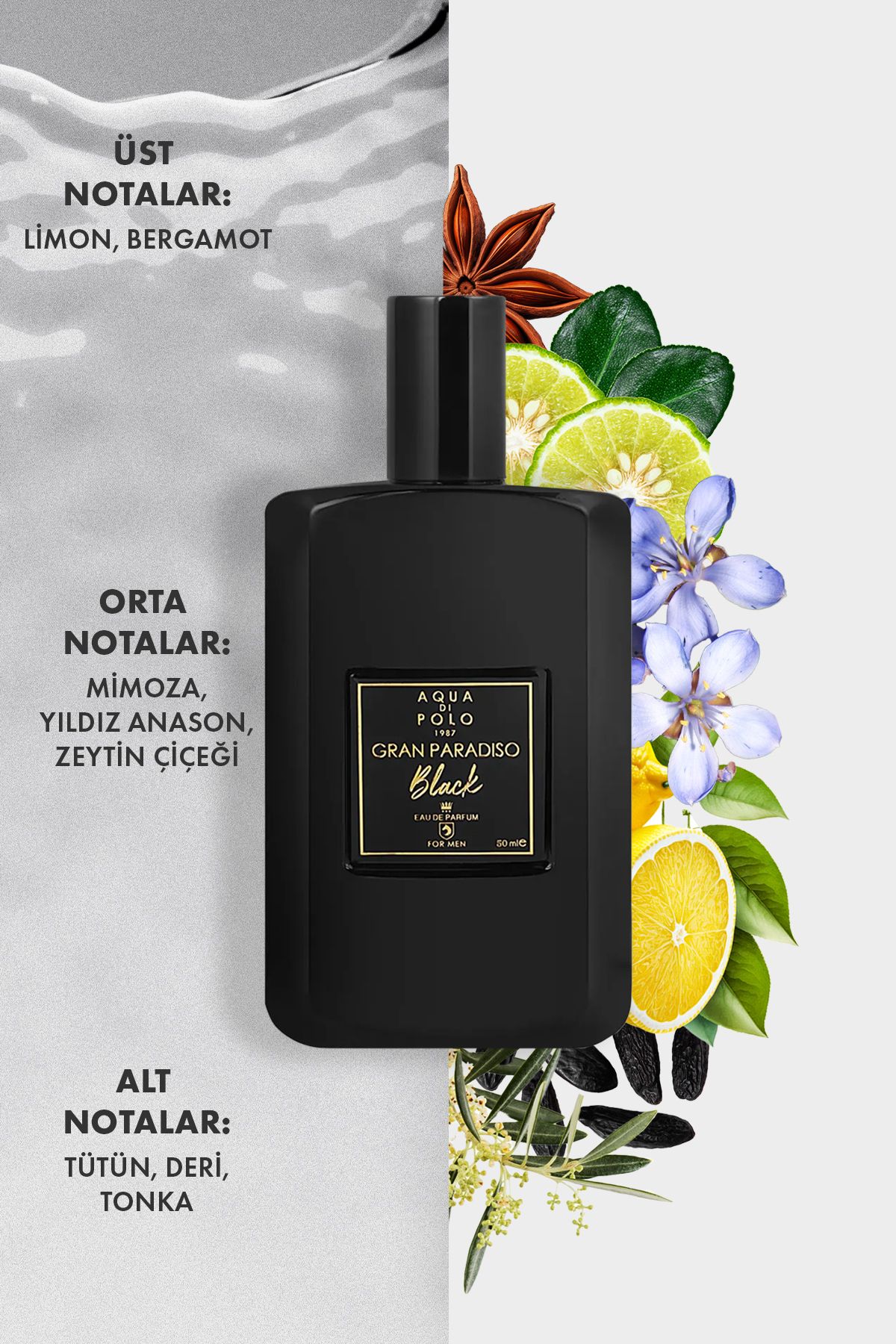 Aqua Di Polo 1987-عطر جران باراديسو بلاك وودي، عطر رجالي حار 50 مل Apcn 000508 6