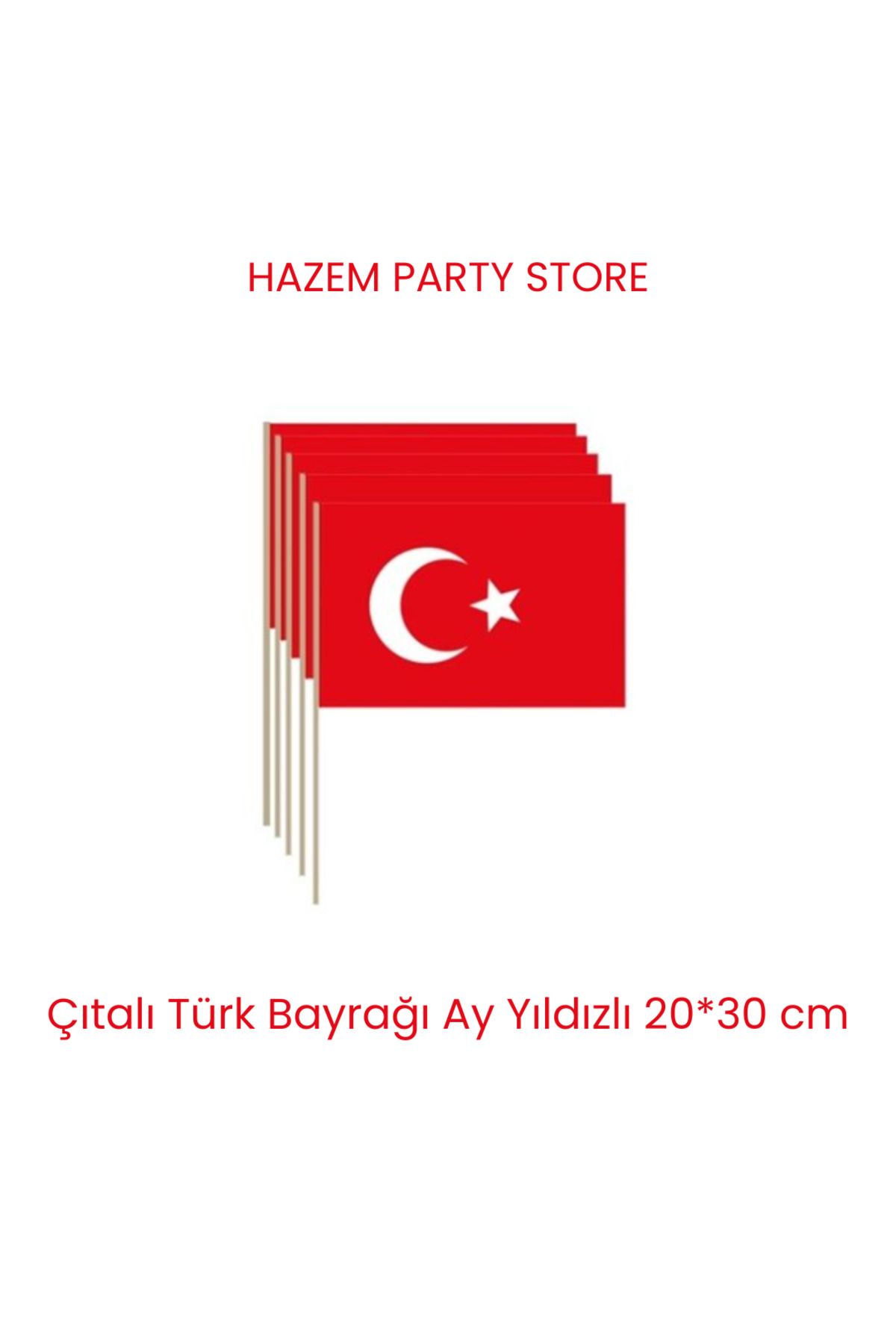 Big Party Çıtalı Türk Bayrağı Ay Yıldızlı 20*30 cm