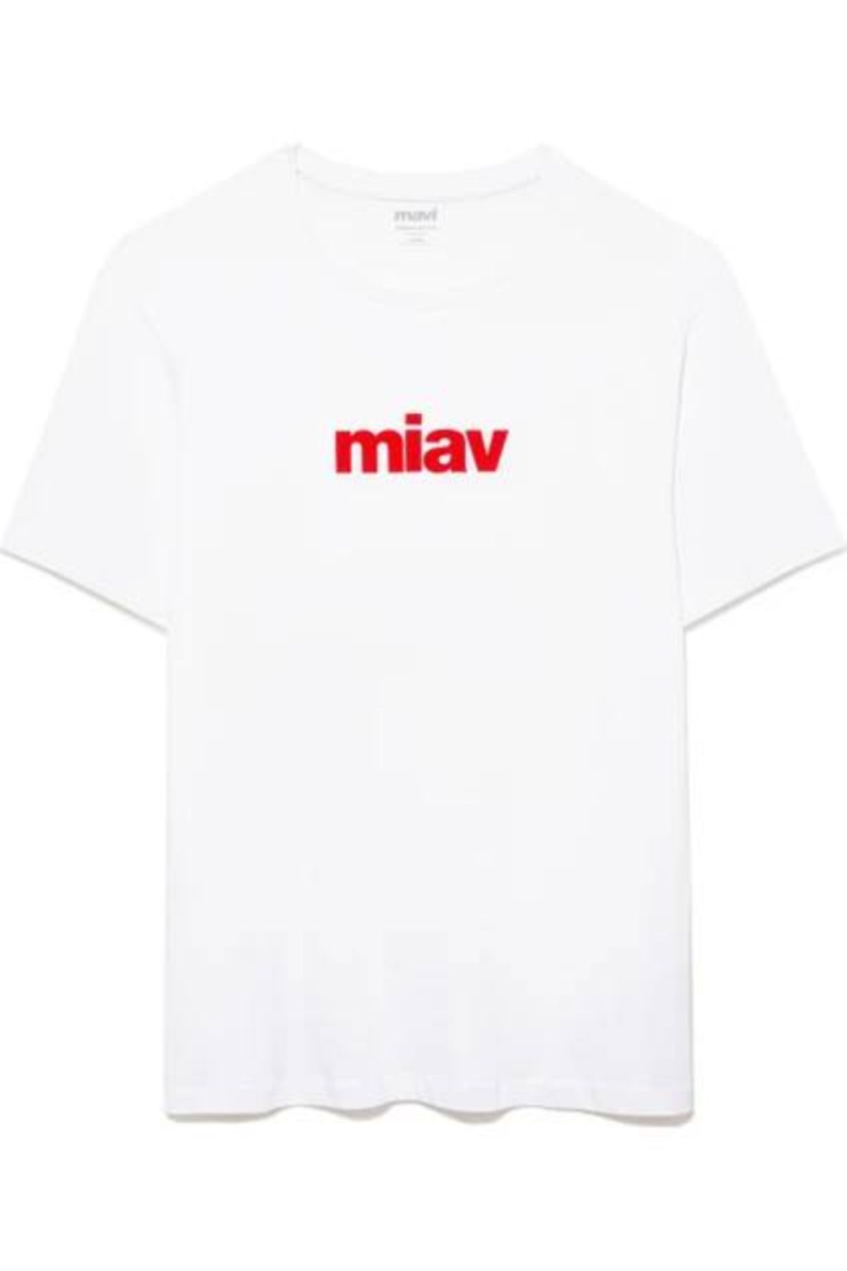 Mavi Erkek T-shirt