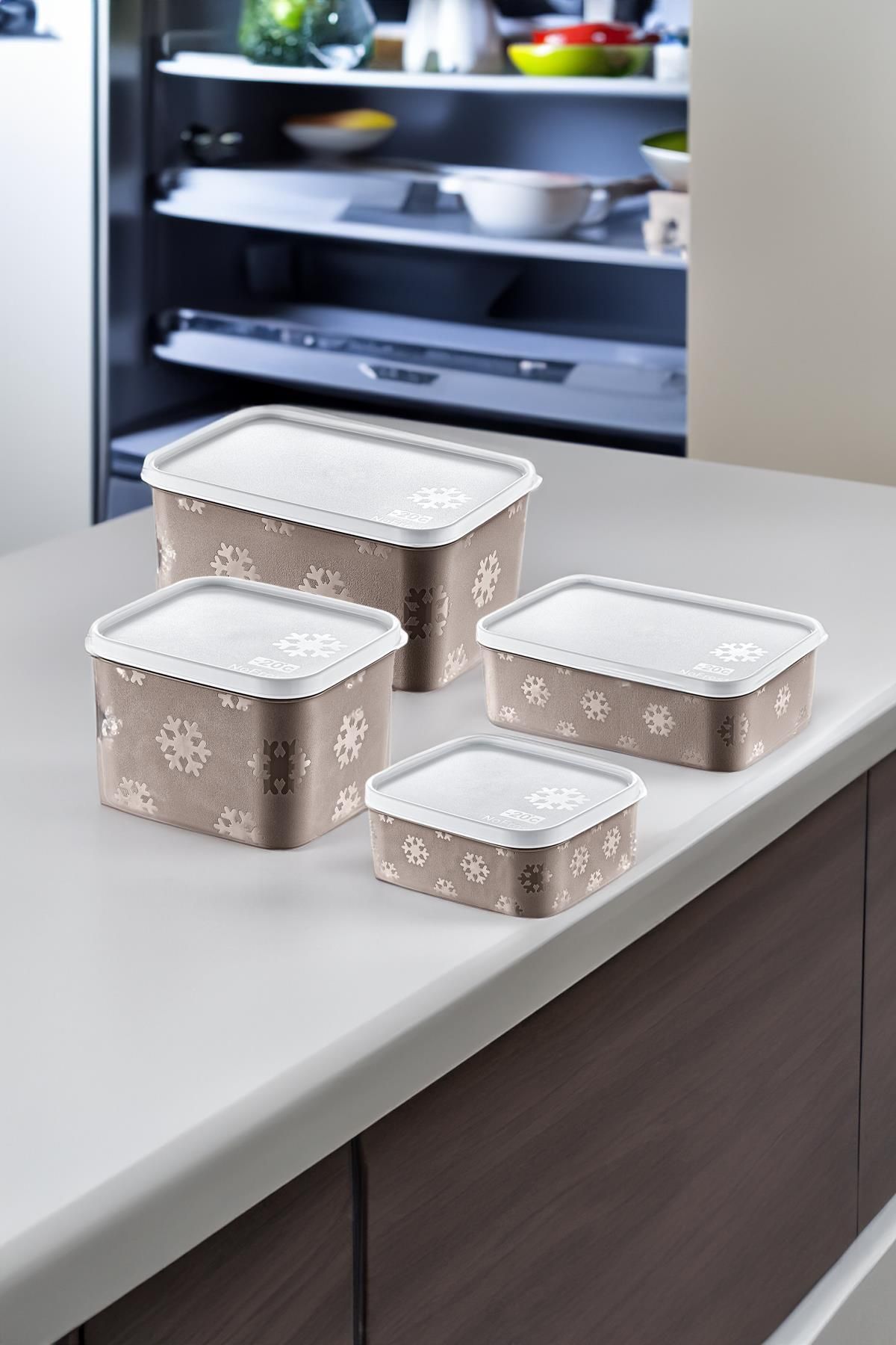 Smartware-Set of 4 - No Frost Terra Storage Container (All Sizes) 2