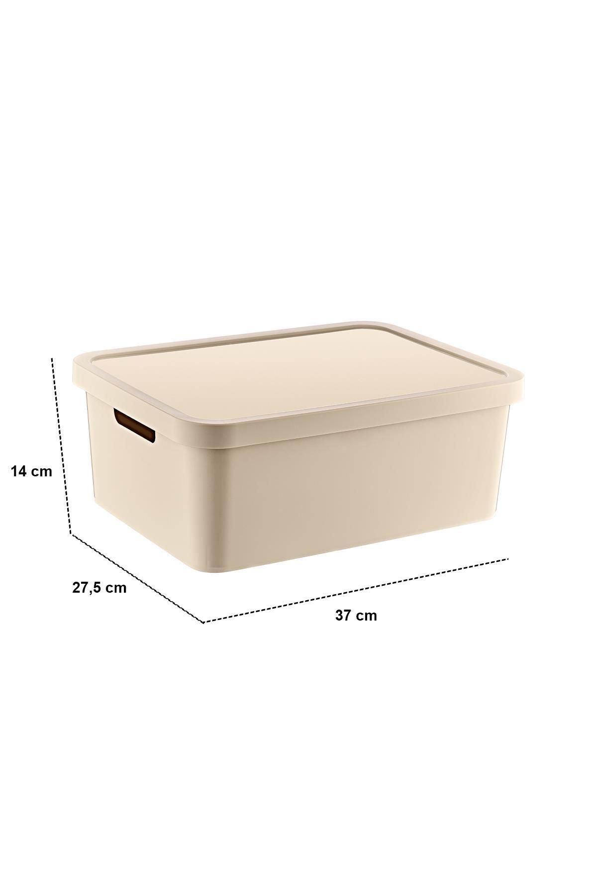 Smartware-Latte 12 Lt - Set of 4 Stafi Multi-Purpose Box with Lid 3