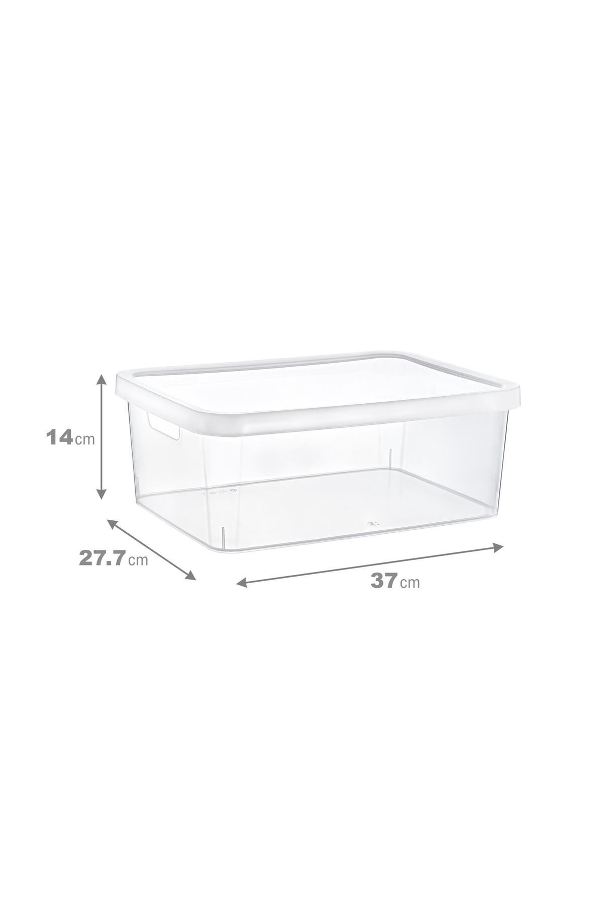 Smartware-Transparent Stafi Box Set of 4 with Lid - 12 Lt 5