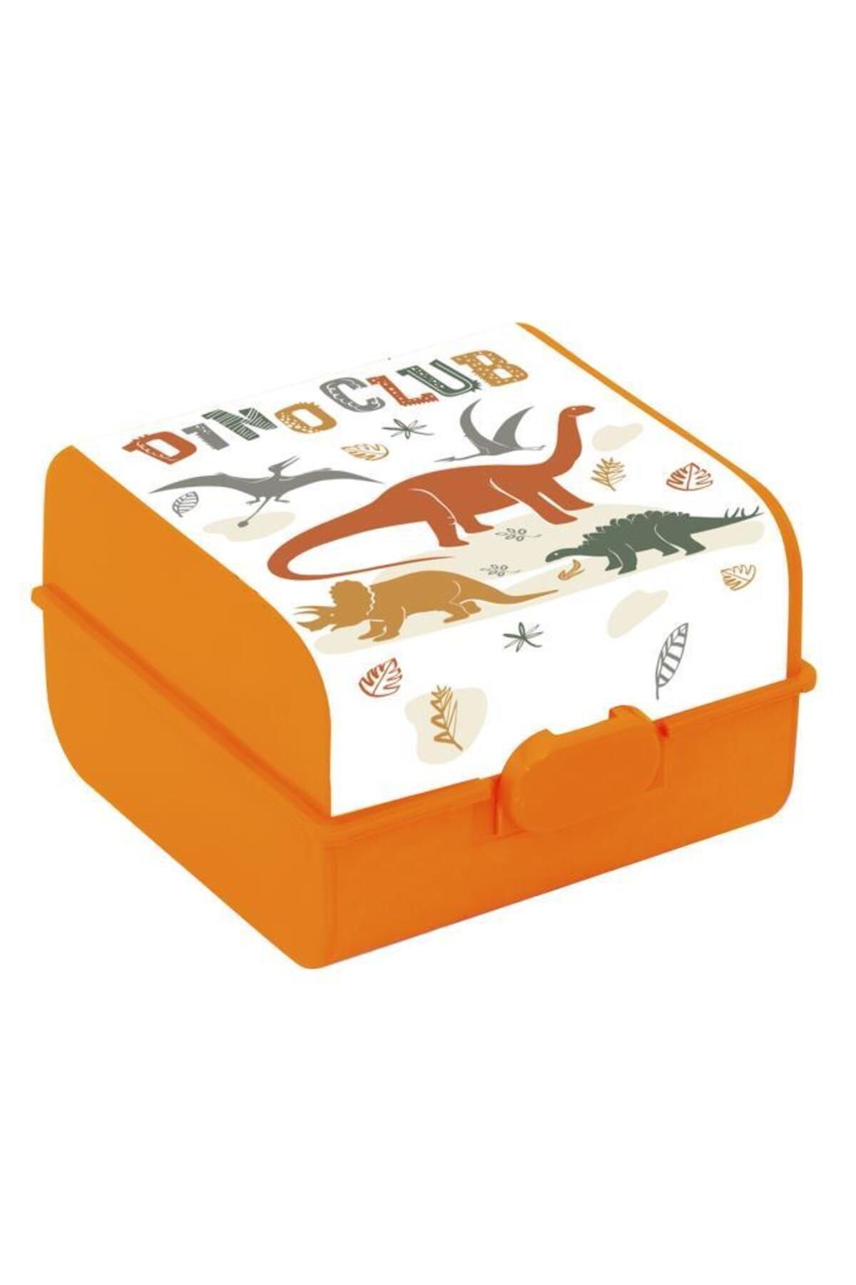 Herevin Beslenme Kutusu Desenli Dino Club 161273-066