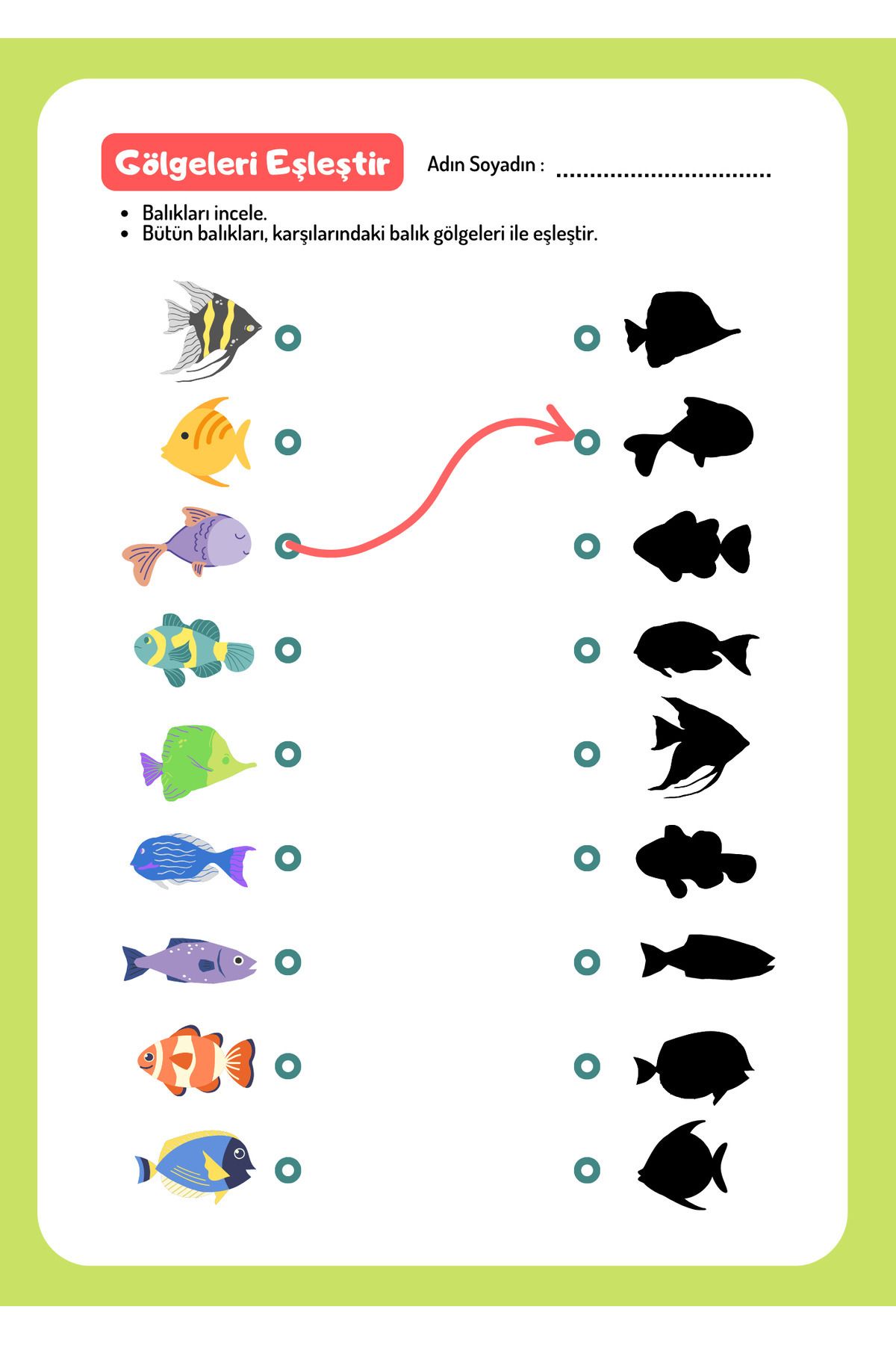 izmirdenet Çocuk ve Bebek Odası Eğitici Poster Duvar Kağıdı Plastik