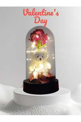 DiZe'S Tasarım Fanus İçinde Dekoratif Rgb Peri Led Işıklı Kırmızı Gül-Ayıcık ...