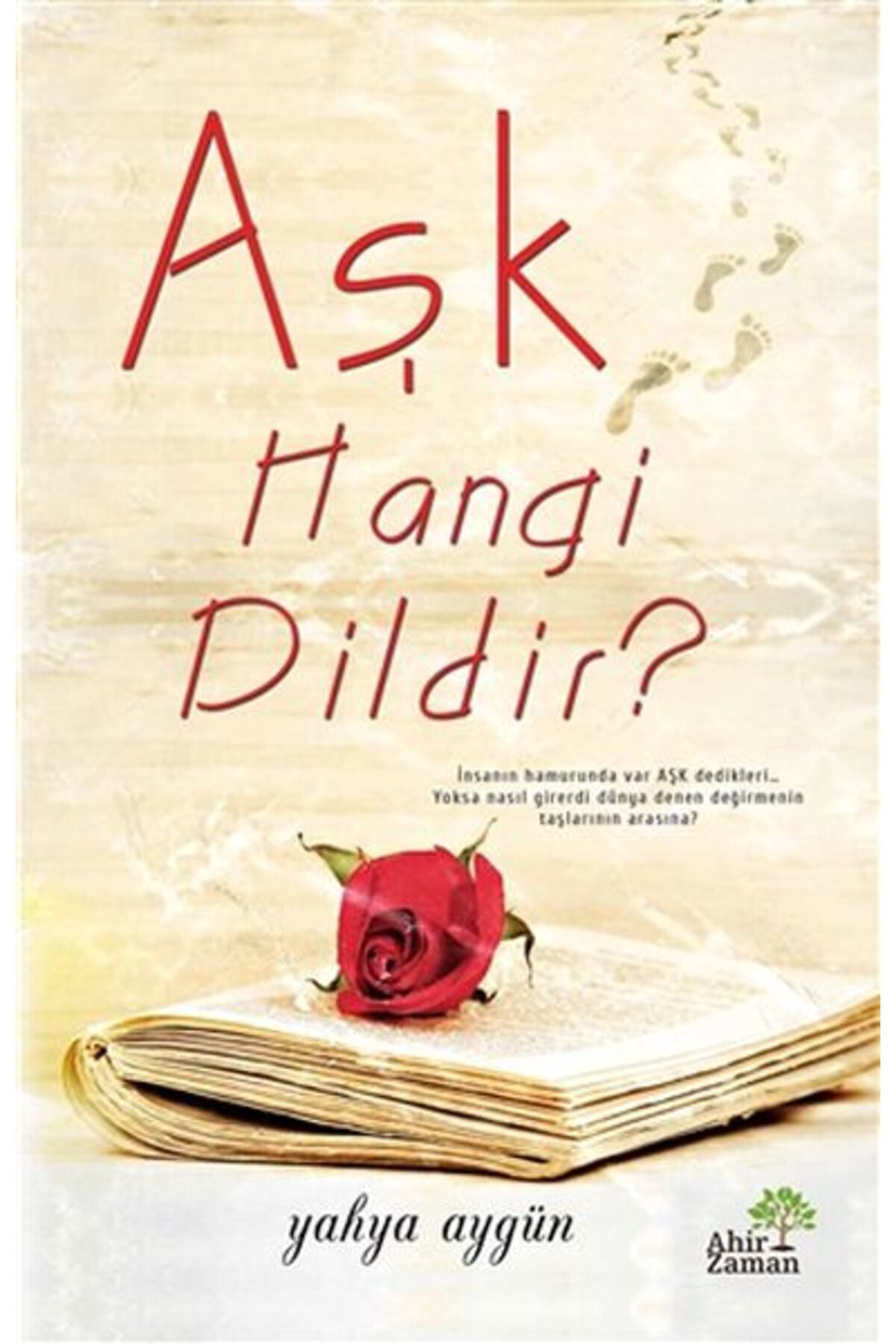 Destek Yayınları Aşk Hangi Dildir?