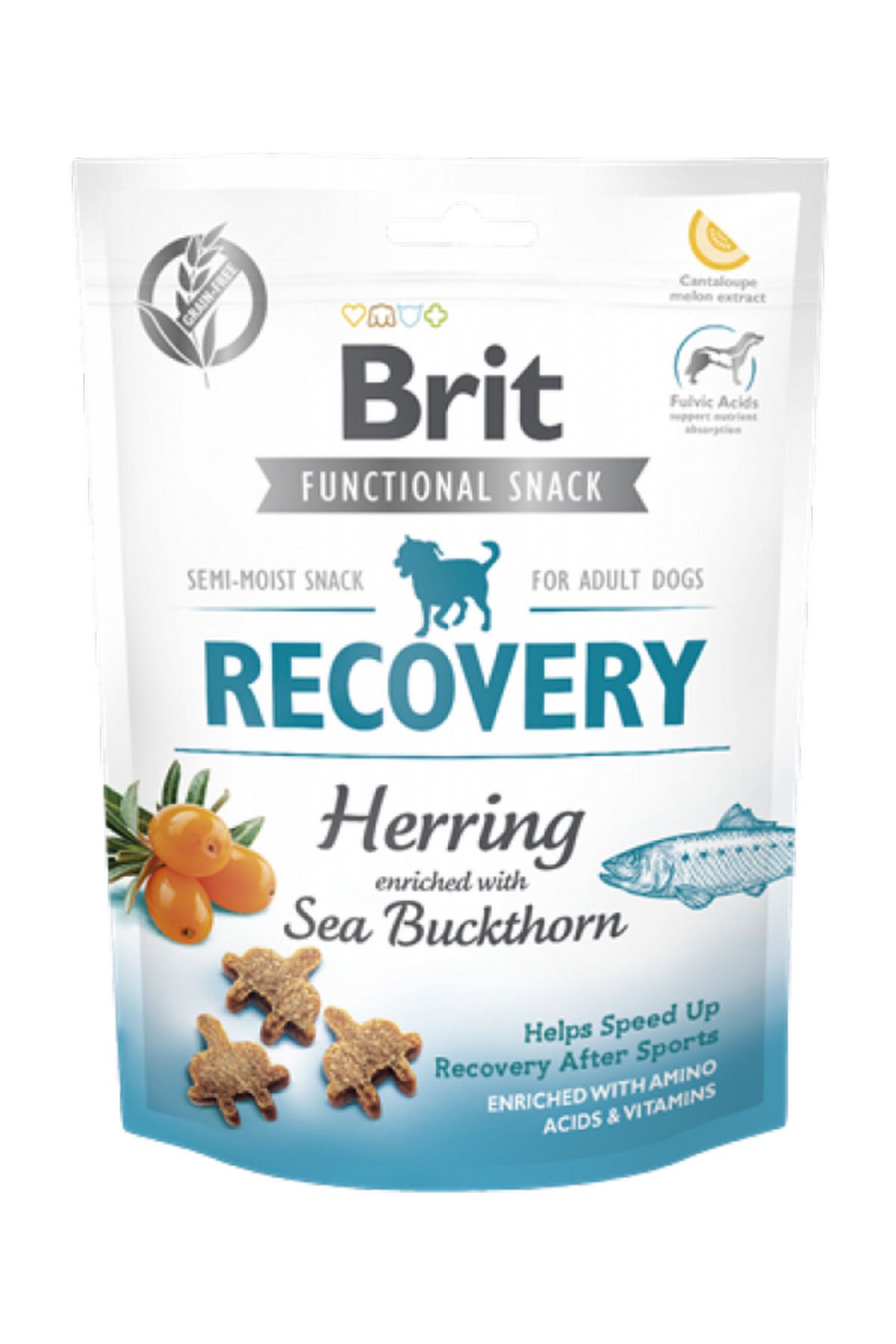 Brit Care 150 gr X 10 ADET Yara İyileşmesini Hızlandırmak İçin, Tahılsız, Ringa Balıklı Ve Ya YKTSN
