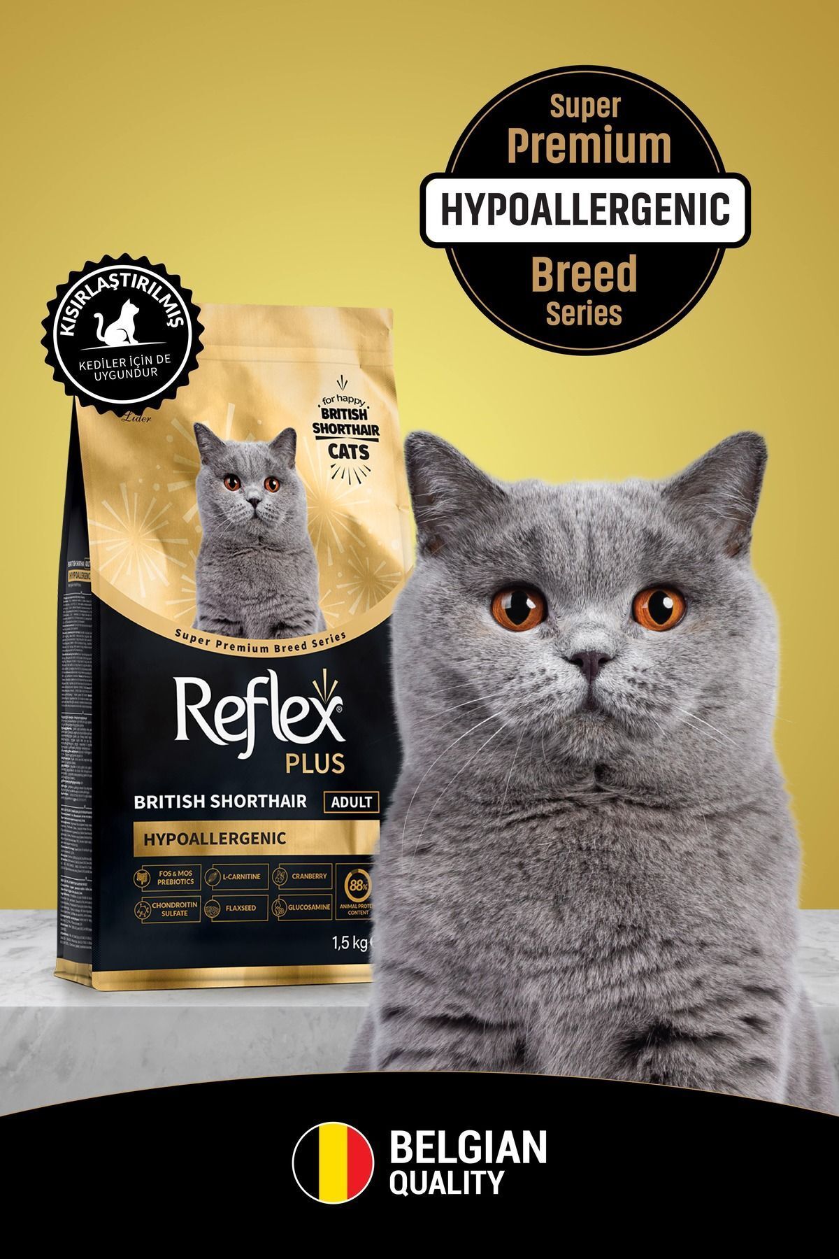 St Morritz Plus British Shorthair Yetişkin Kedi Maması 1,5 kg