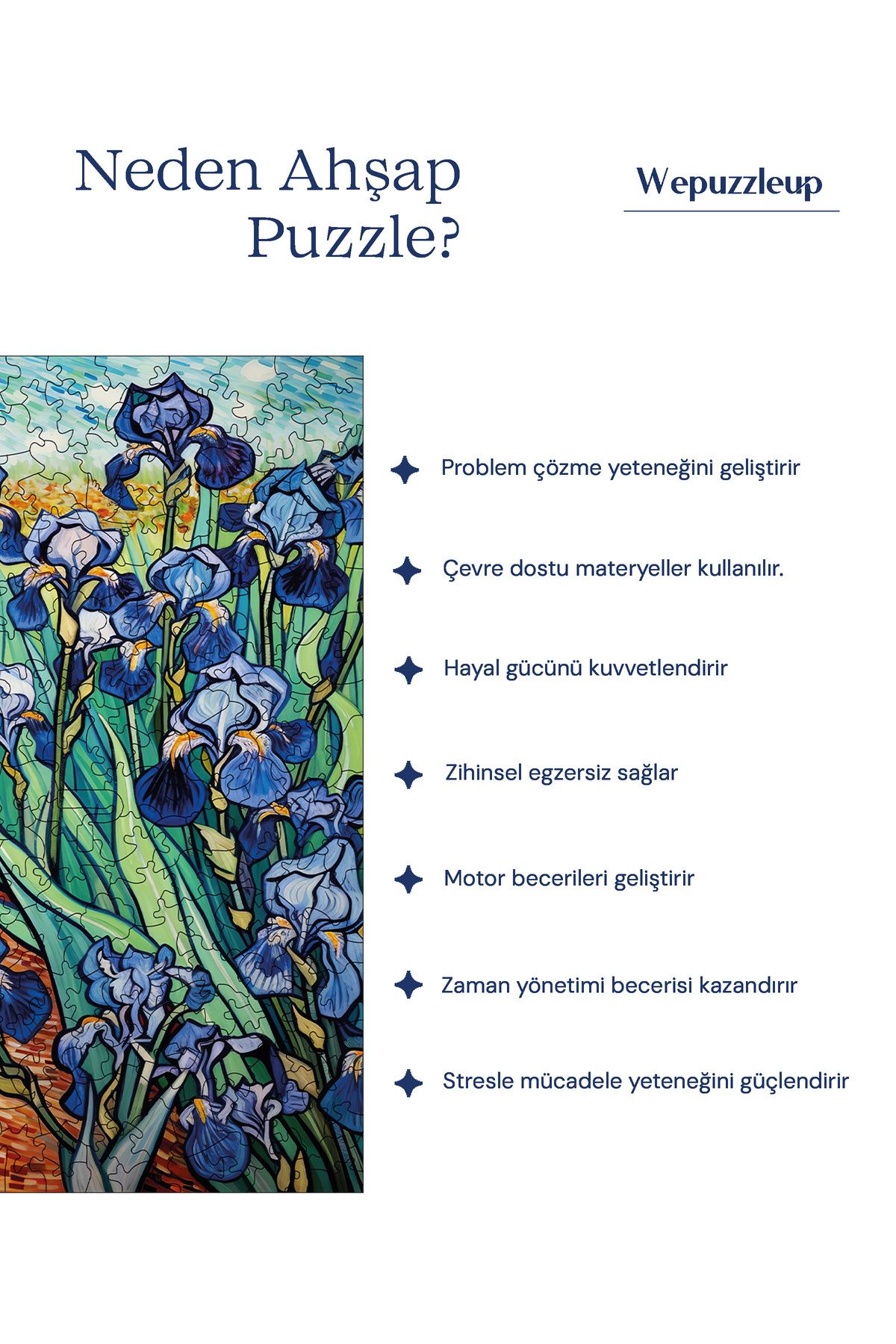 Pinecone-Van Gogh Irises Reproduction - Wooden Puzzle, Unique Piece, Puzzle 353 Pieces, 29X29 cm S1-31 7