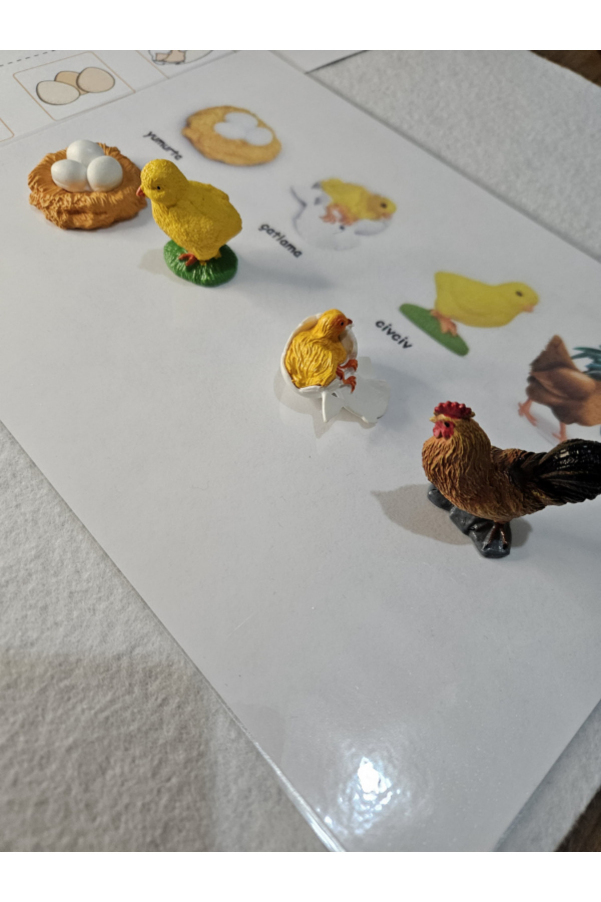 Ada Montessori Tavu un Ya am D ng s Sanat Etkinlikli Tam Set Fiyat ada-montessori-tavu-un-ya-am-d-ng-s-sanat-etkinlikli-tam-set-fiyat