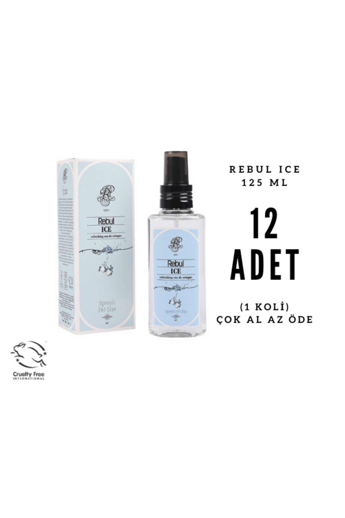 Rebul ICE Edc 125ml Sprey Pet Şişeli Kolonya 12 Adet (1 Koli)