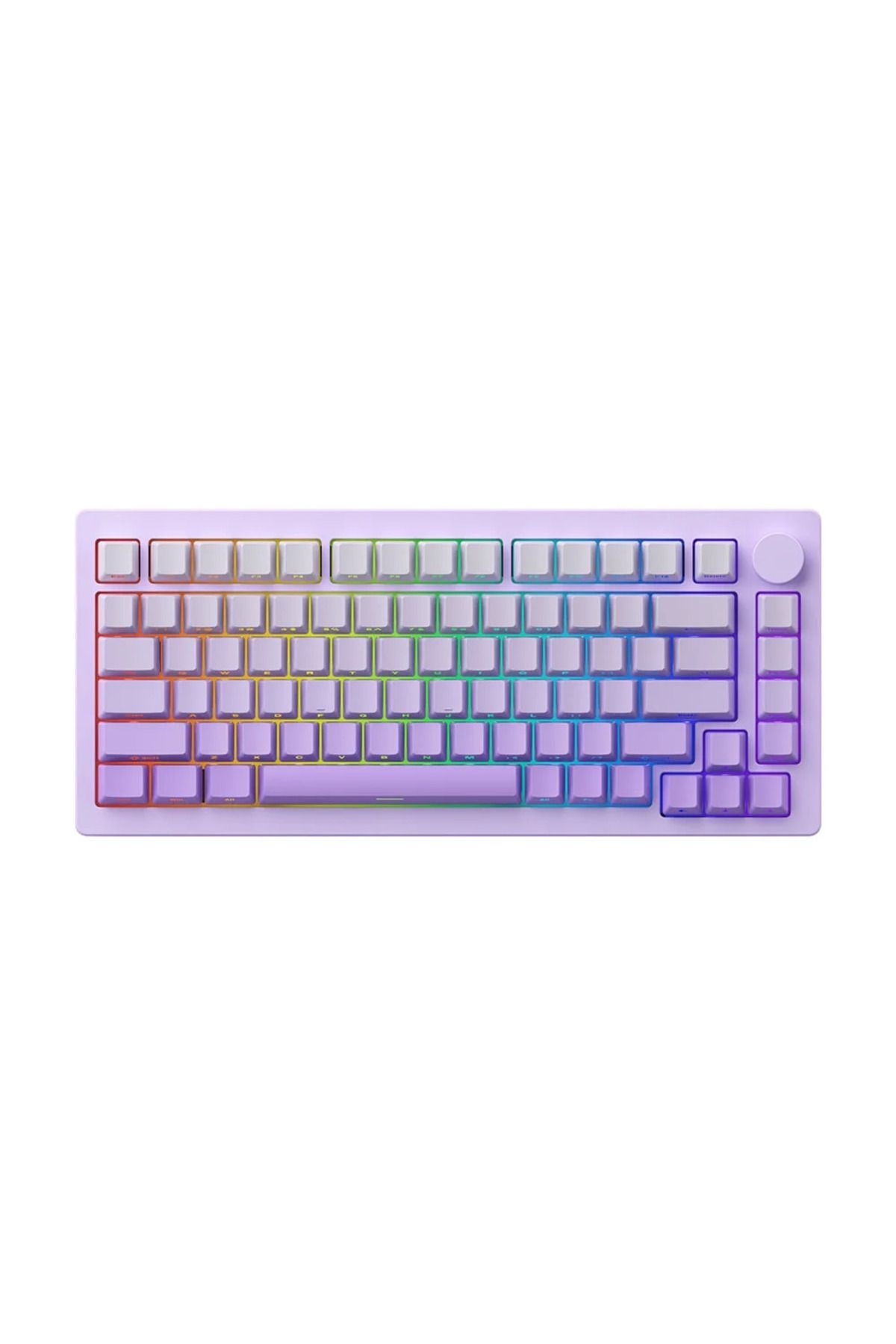 AKKO MONSGEEK M1W V3 HE-SP Purple Gradiant HE Manyetik Switch RGB Kablosuz Mekanik Gaming Klavye