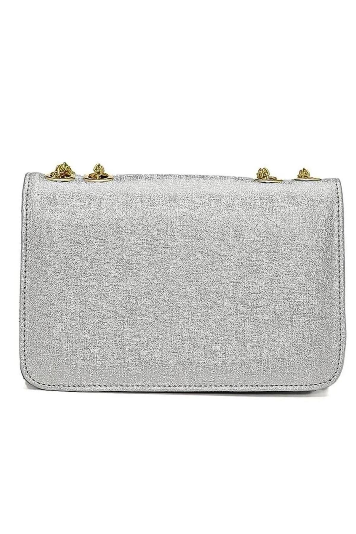 Armine-Arm-317 Women's Gold Chain Evening Bag 4