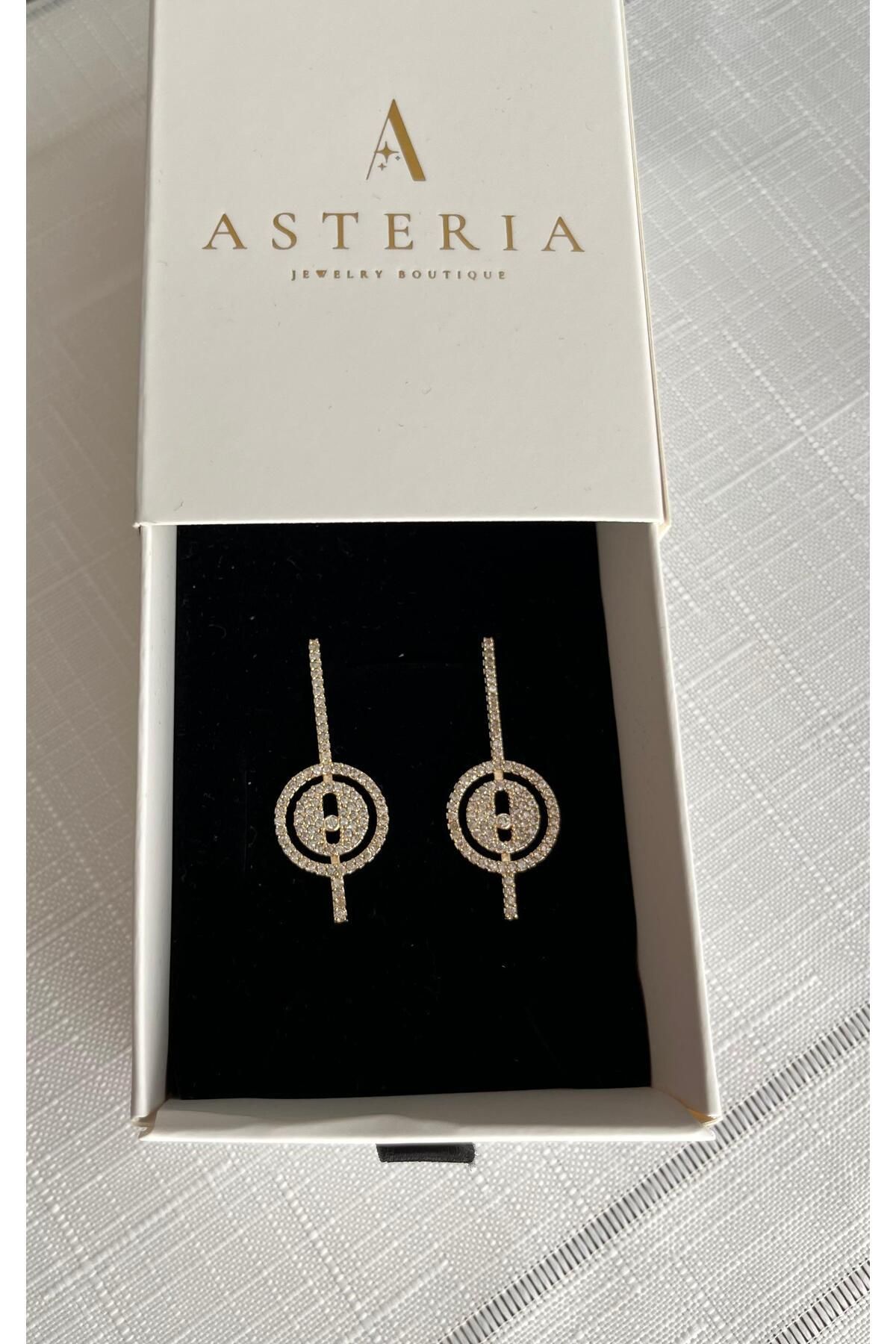 Asteria Jewelry-New Season High-Tech Mess Earrings 2