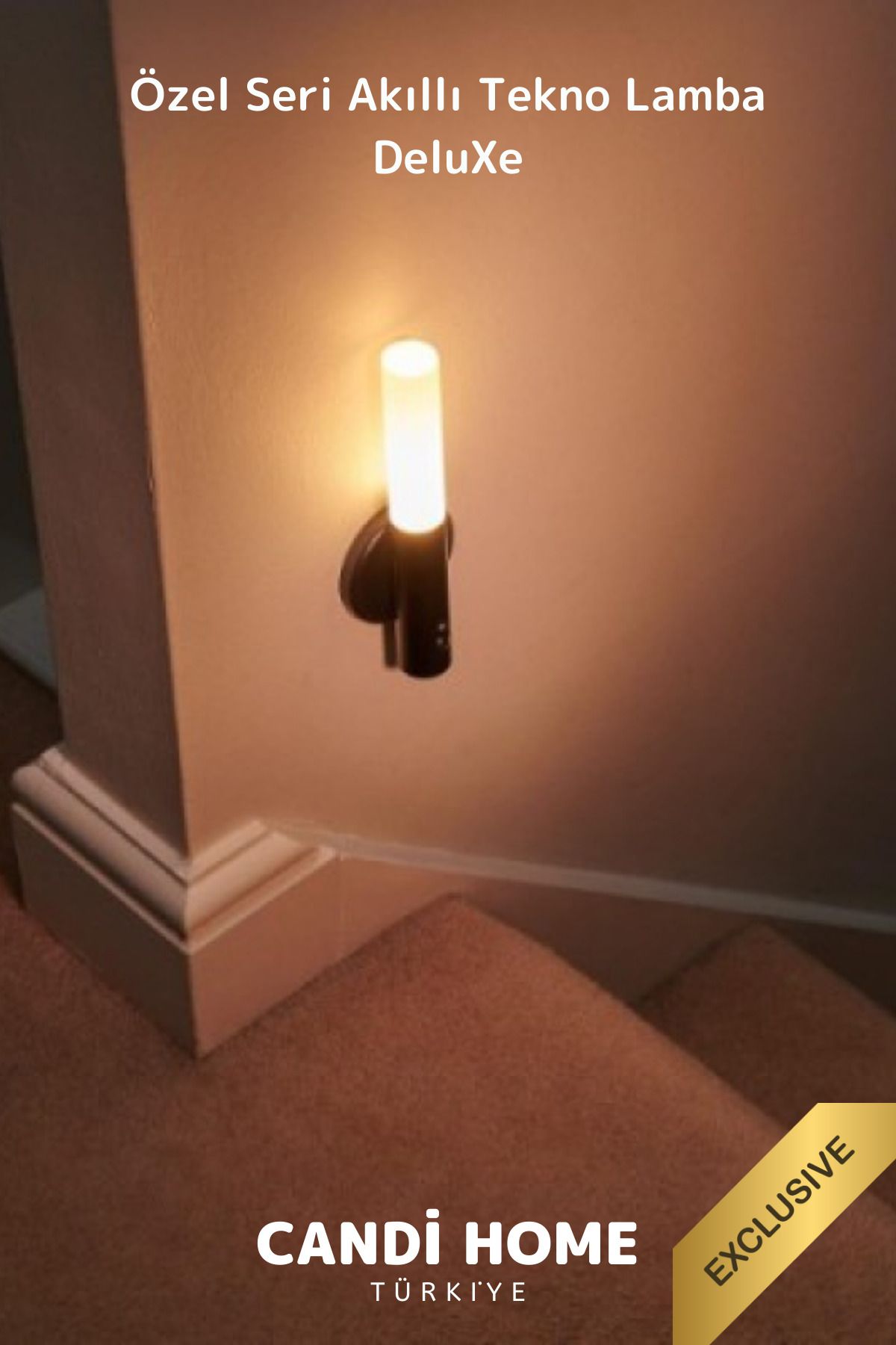 HOBİ CONDİ-Special Series Design Automatic Led Smart Body Motion Sensor Lamp 1