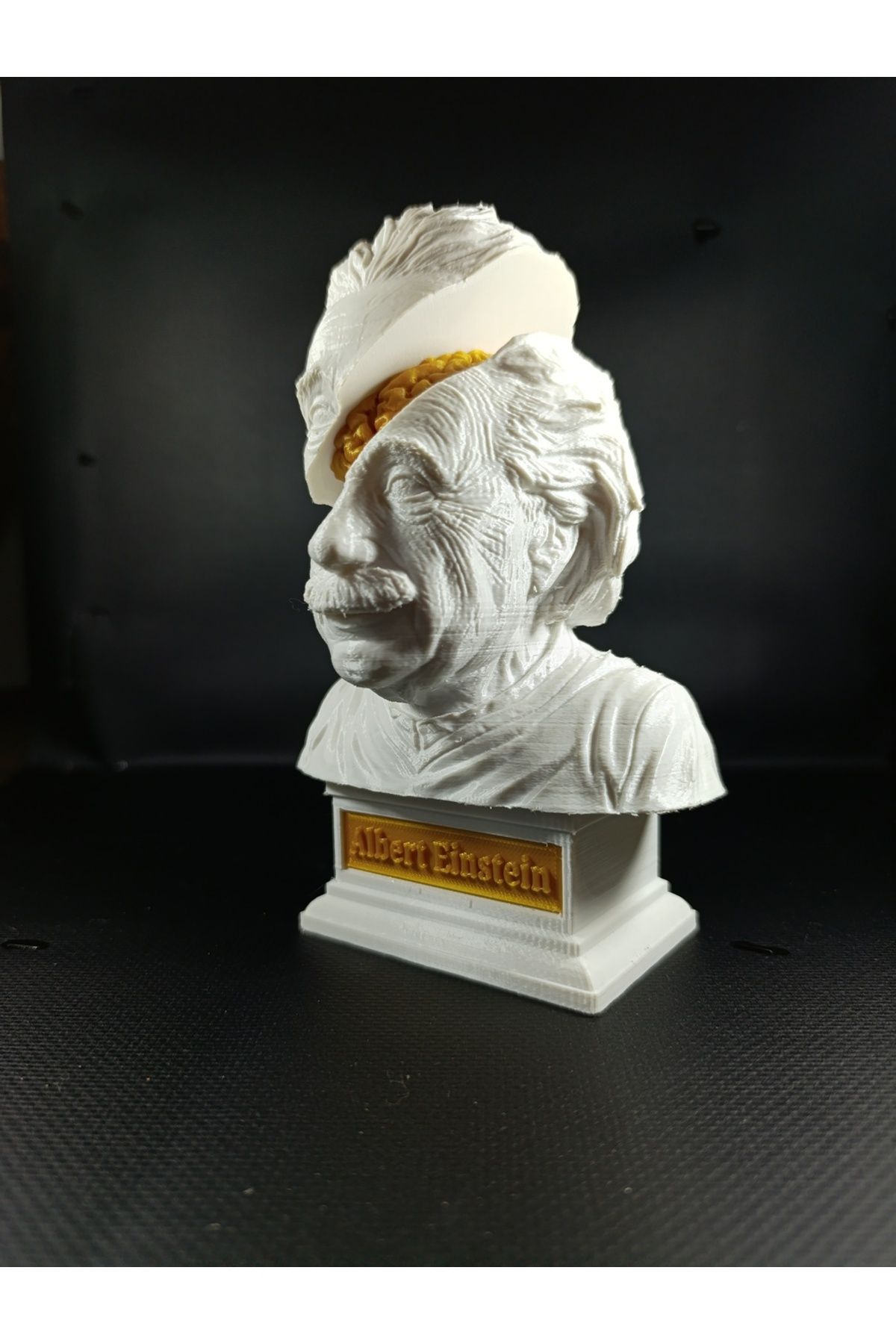 3by Albert Einstein 3D yazıcı büst