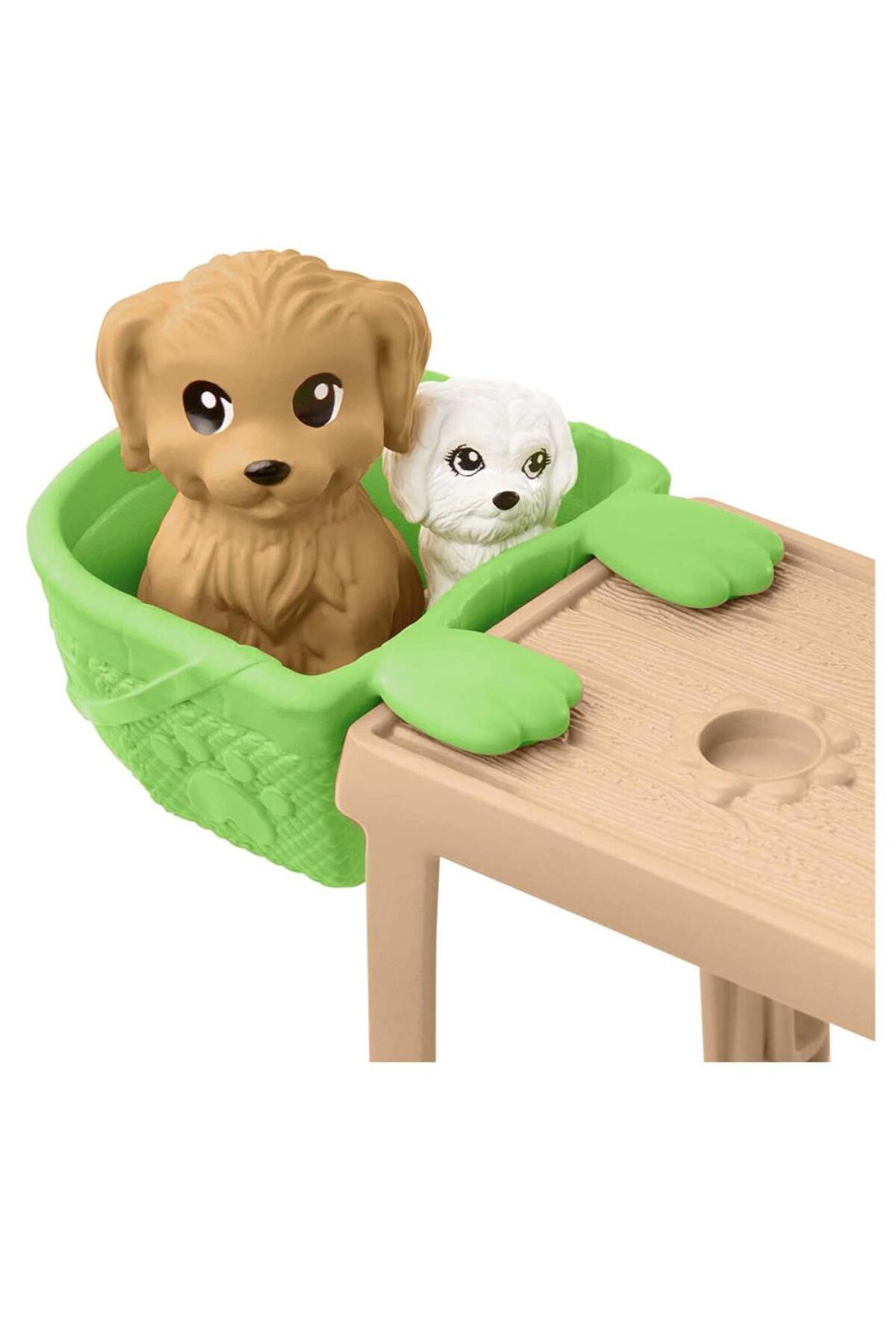 Barbie Chelsea Kaykay Parkı Hjy35 fotoğrafı 2 (önizleme)