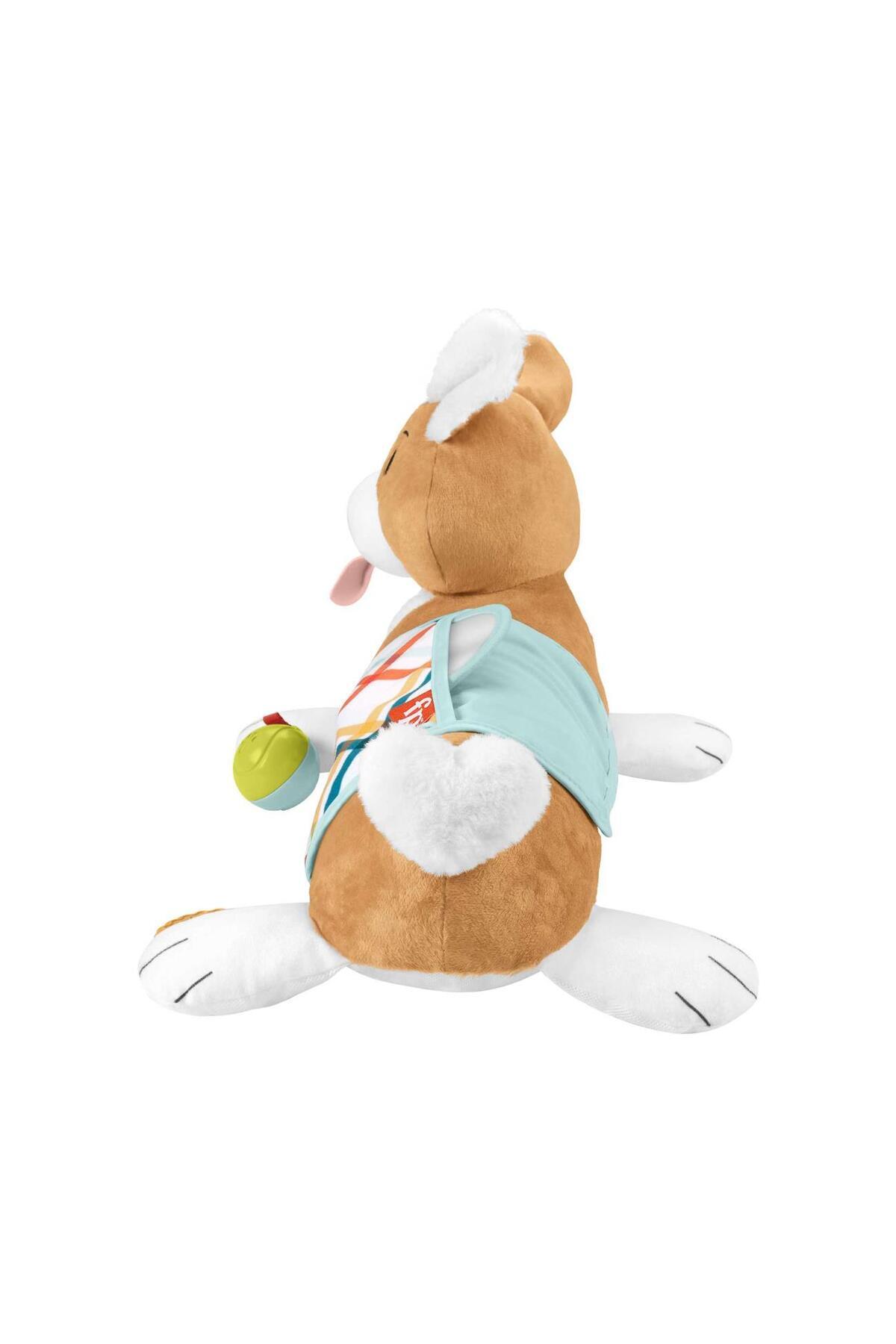 FISHER PRICE-3 in 1 Puppy Reclining Pillow Hjw10 5