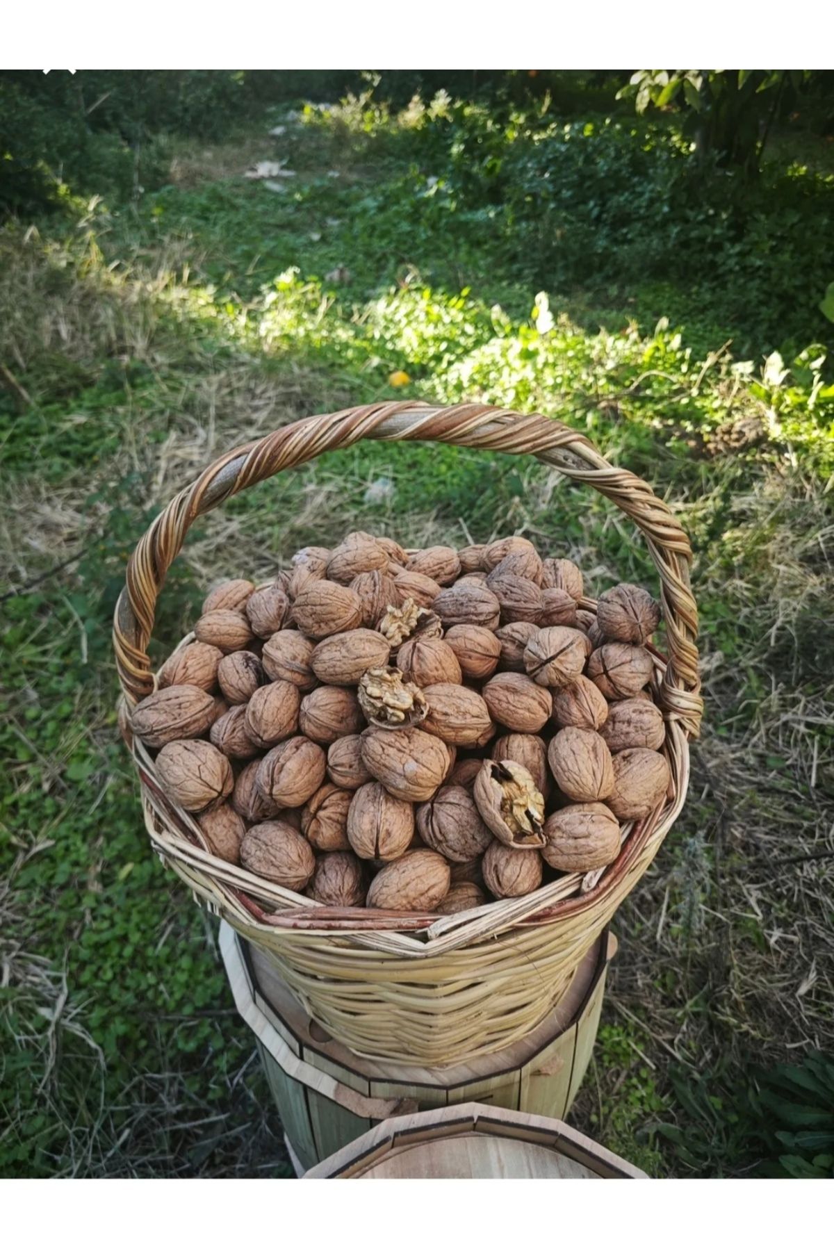 irfan bakliyat Yerli yağlı ceviz 2 kg