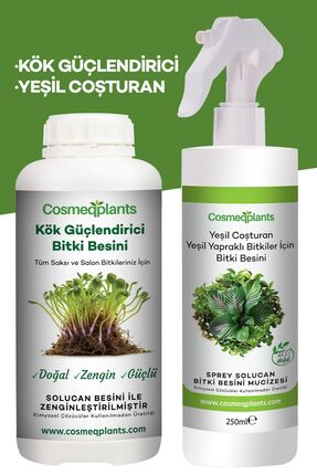 cosmeqplants 2'li Set - Kök Güçlendirici ve Yeşil Bitkiler Besini