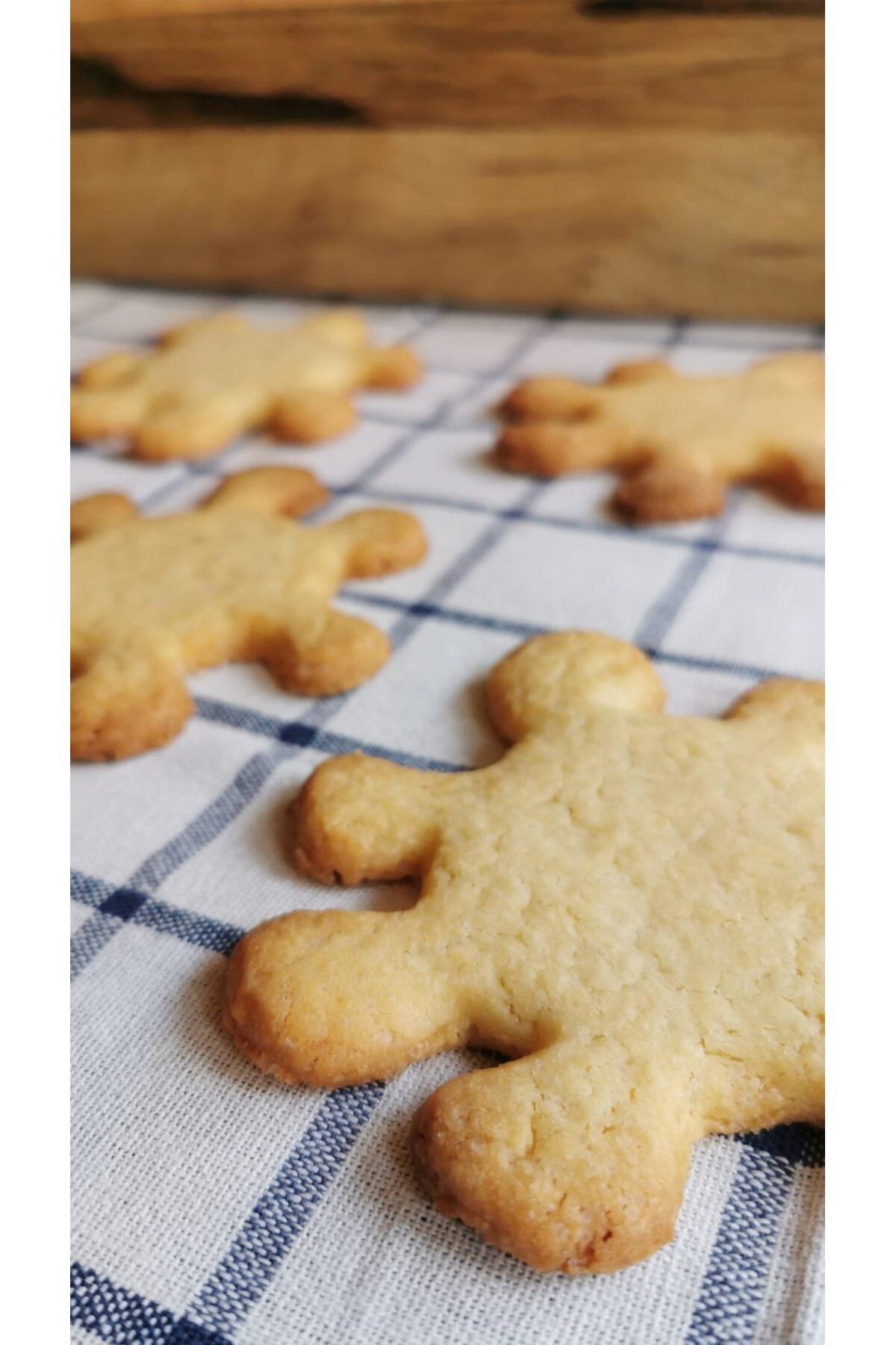 opencart-Coronavirus Cookie Cutter 3