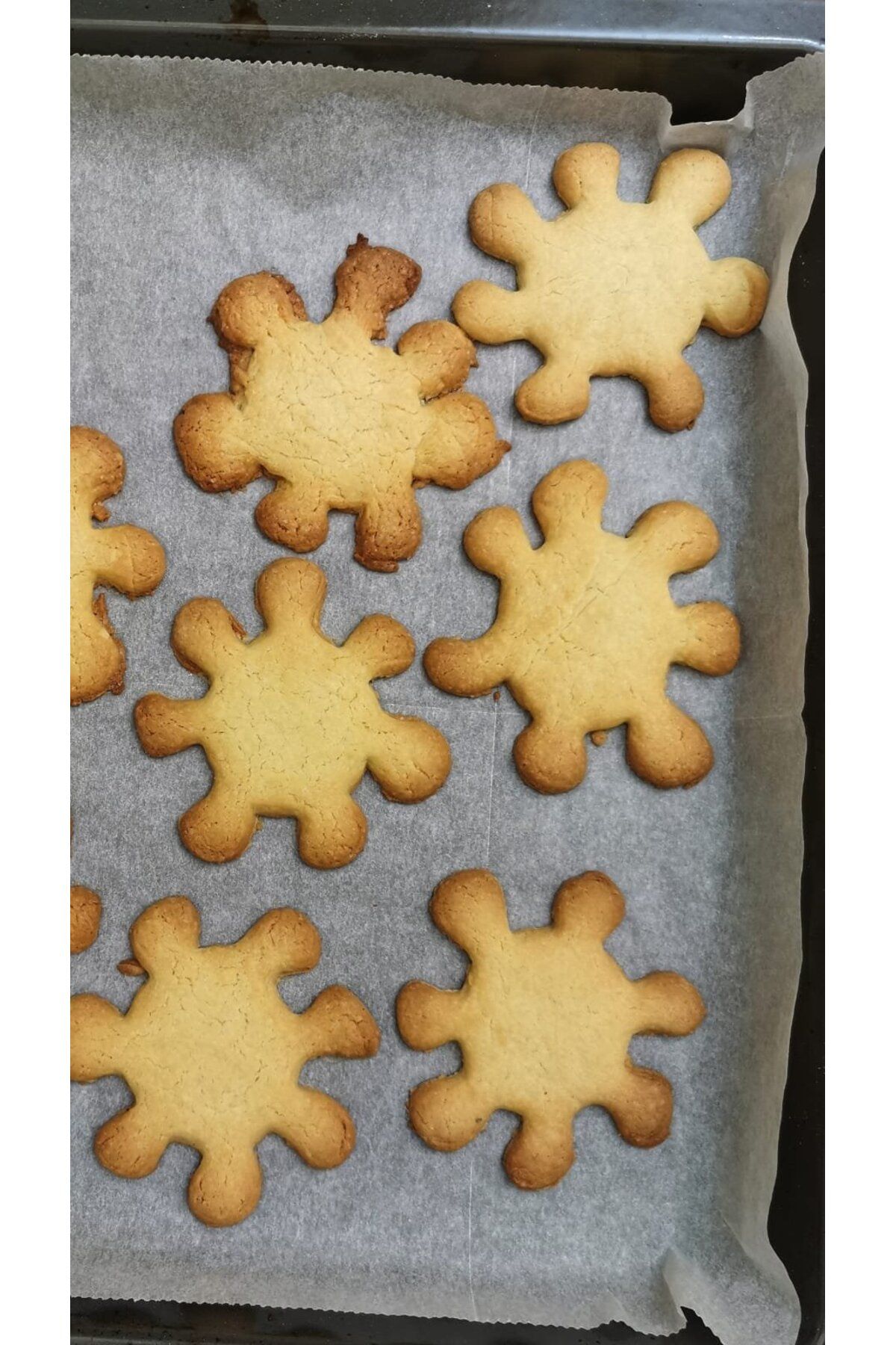 opencart-Coronavirus Cookie Cutter 2