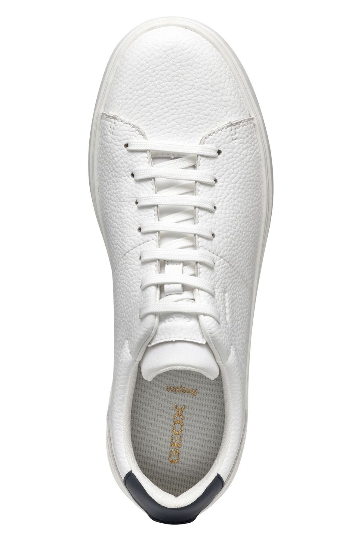 Geox-Sneaker 6