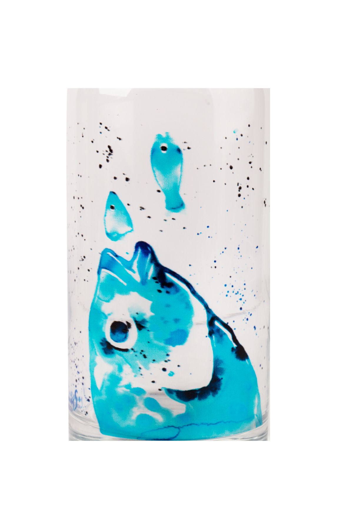 ANEMOSS-Carafă de sticlă cu model de dorada, 500 ml 4