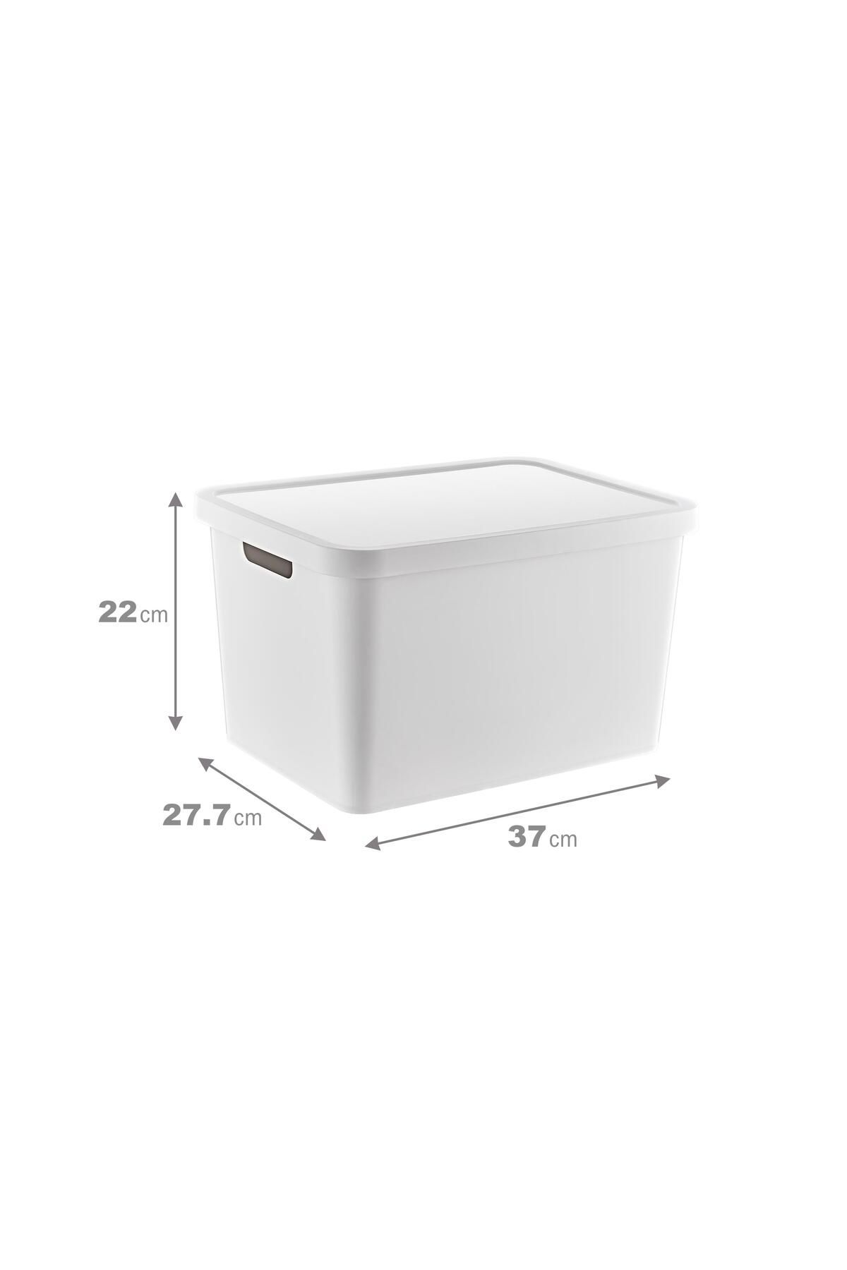 Smartware-Stafi Multi-Purpose Box with Lid 18 Lt 2