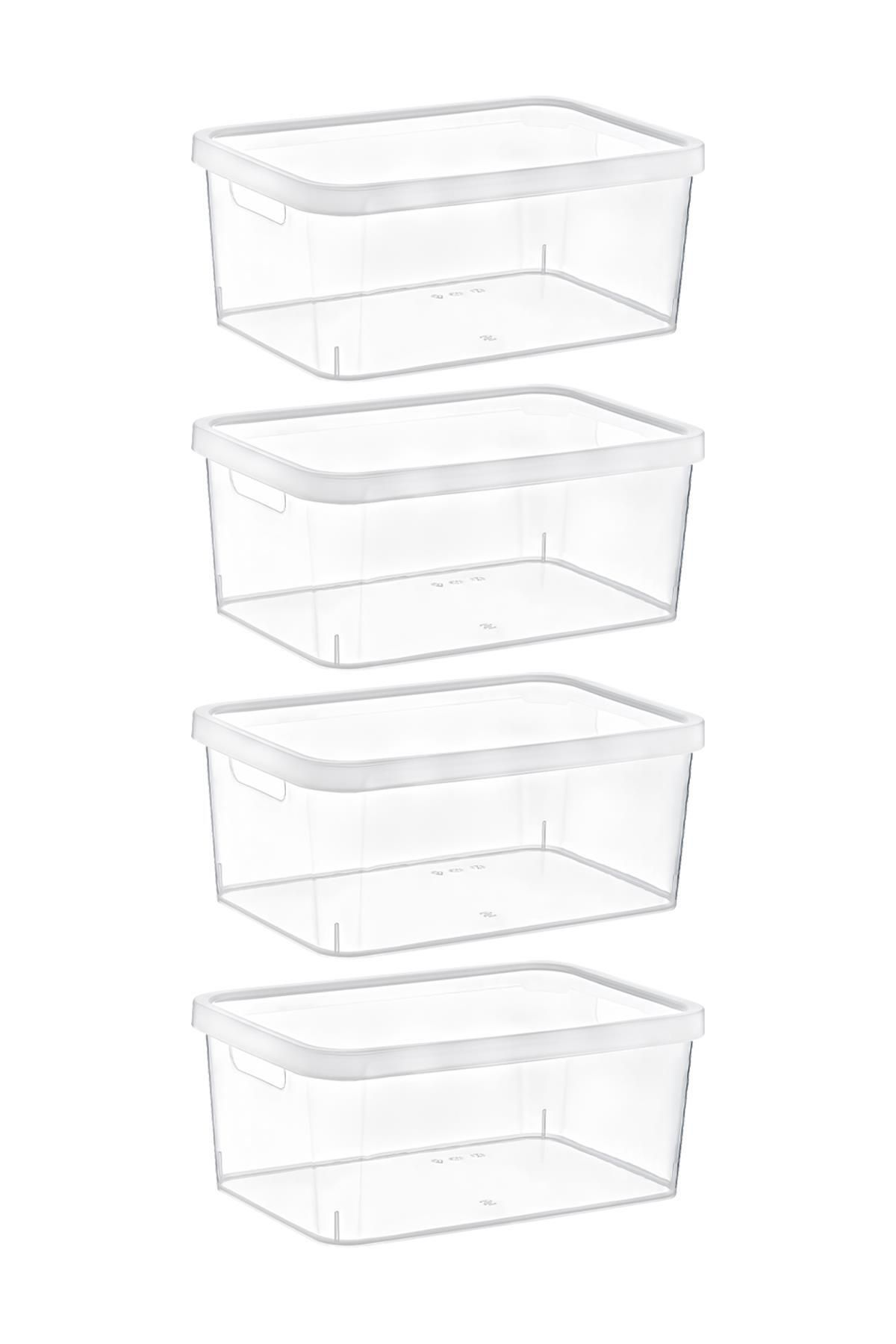 Smartware-Transparent Stafi Box Set of 4 with Lid - 12 Lt 2