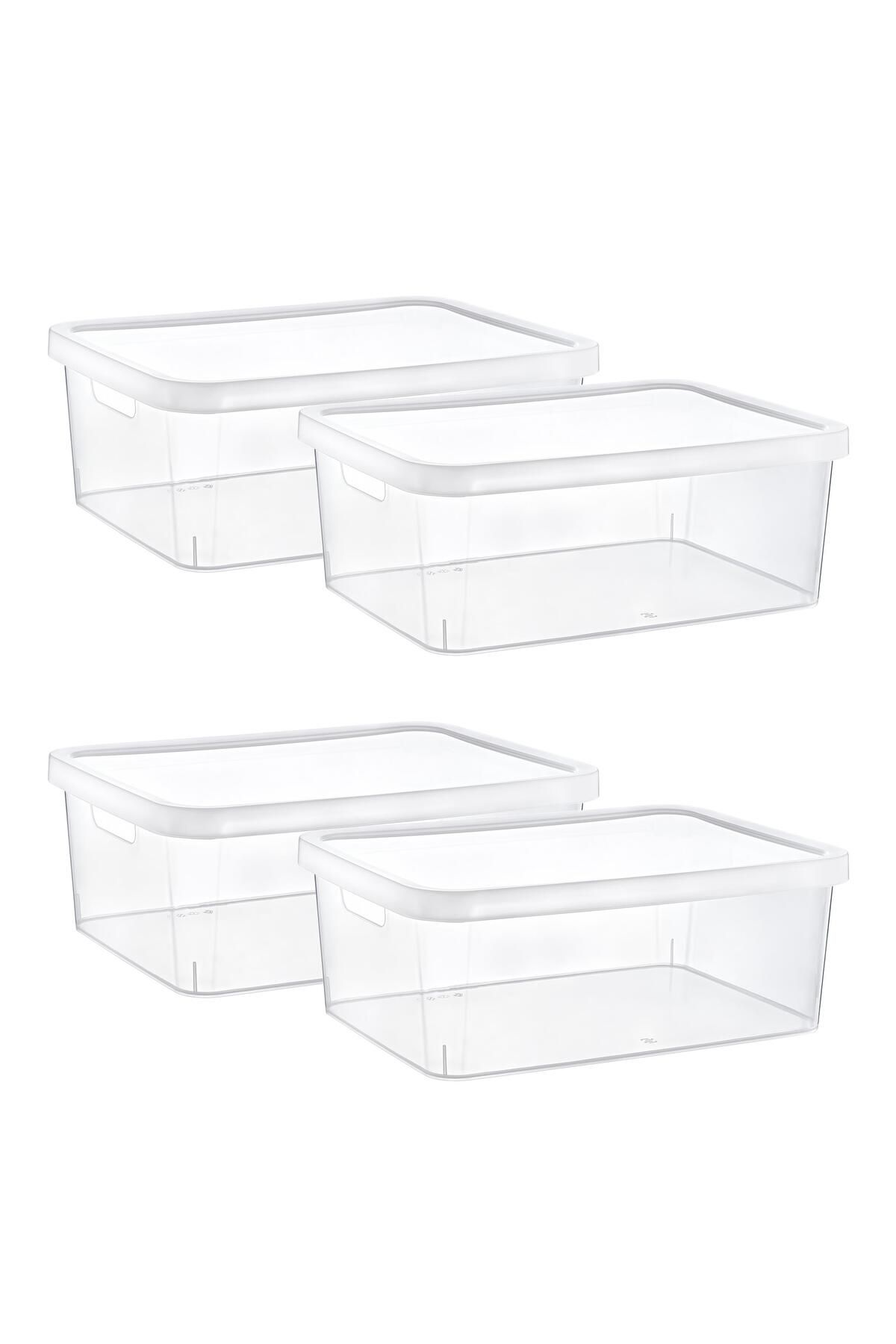 Smartware-Transparent Stafi Box Set of 4 with Lid - 12 Lt 1
