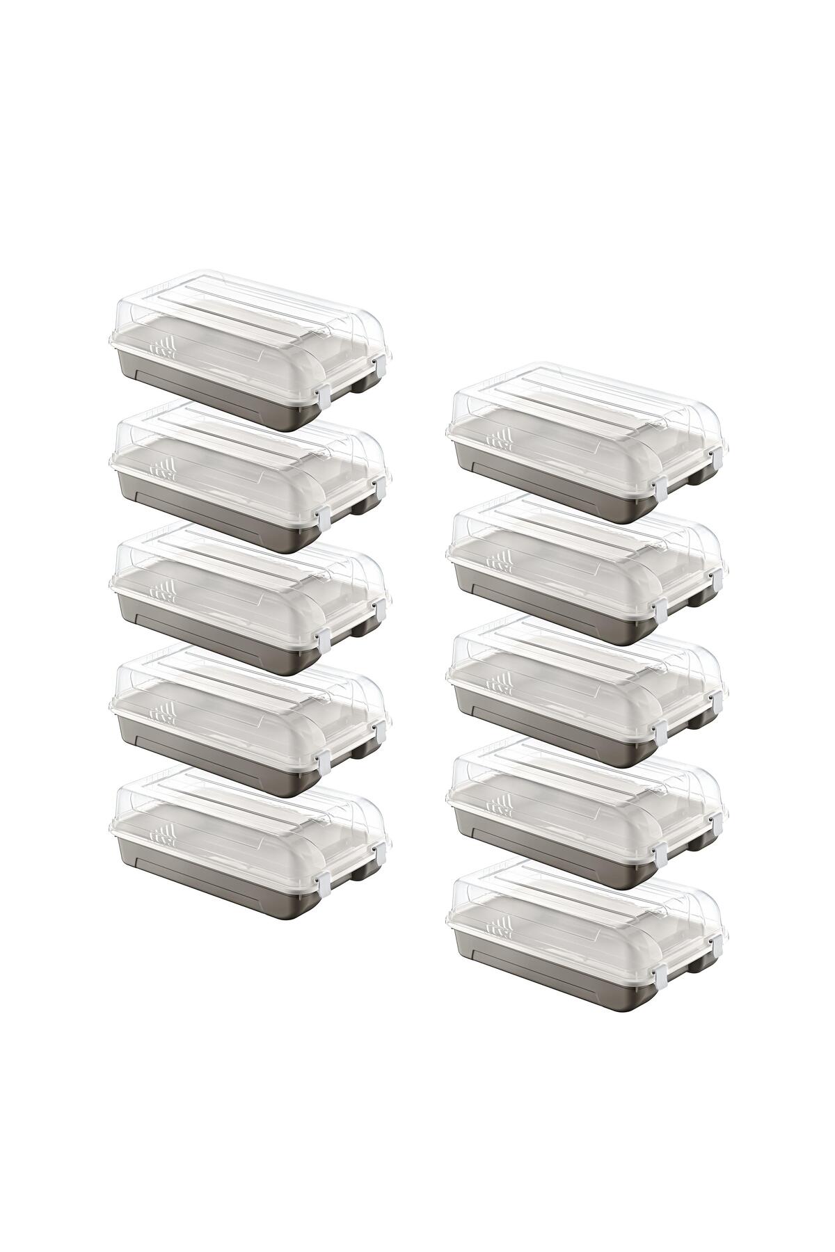 Smartware 10'Lu Set Kadın Terra Ayakkabı Kutusu - Fiyatı, Yorumları