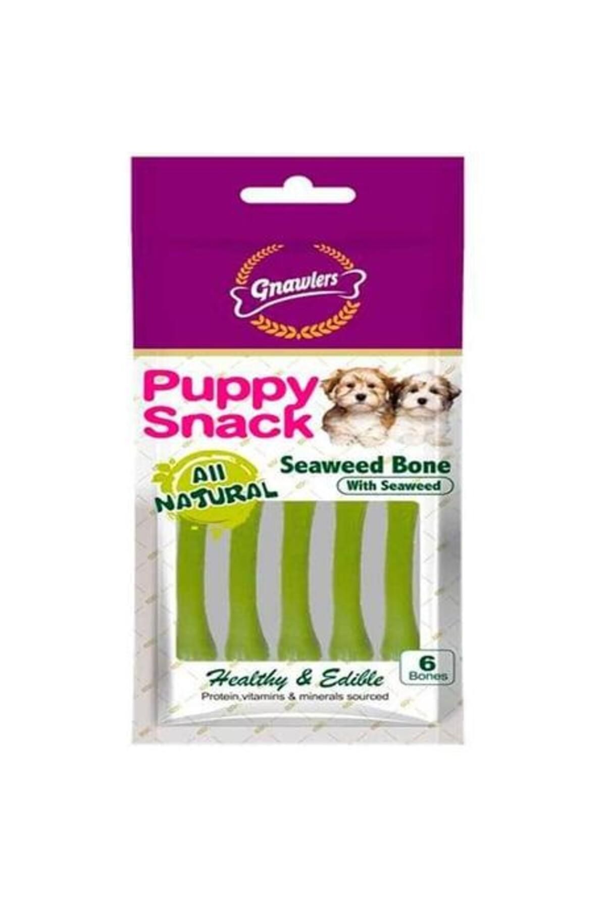 Gnawlers Yavru Köpek Ödülü Seaweed Bone 6'lı Paket