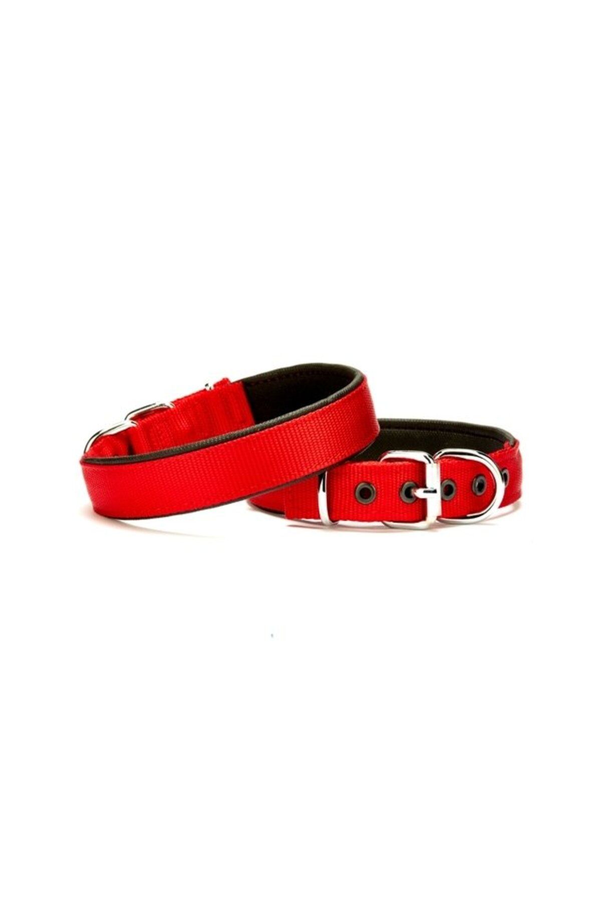 TREND Doggie Softlu Köpek Boyun Tasması 2 cm x 40 cm Kırmızı