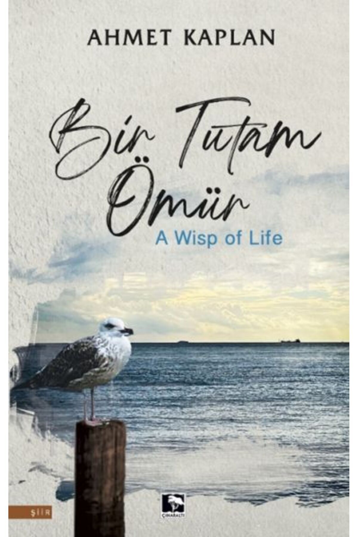 Çınaraltı Yayınları Bir Tutam Ömür