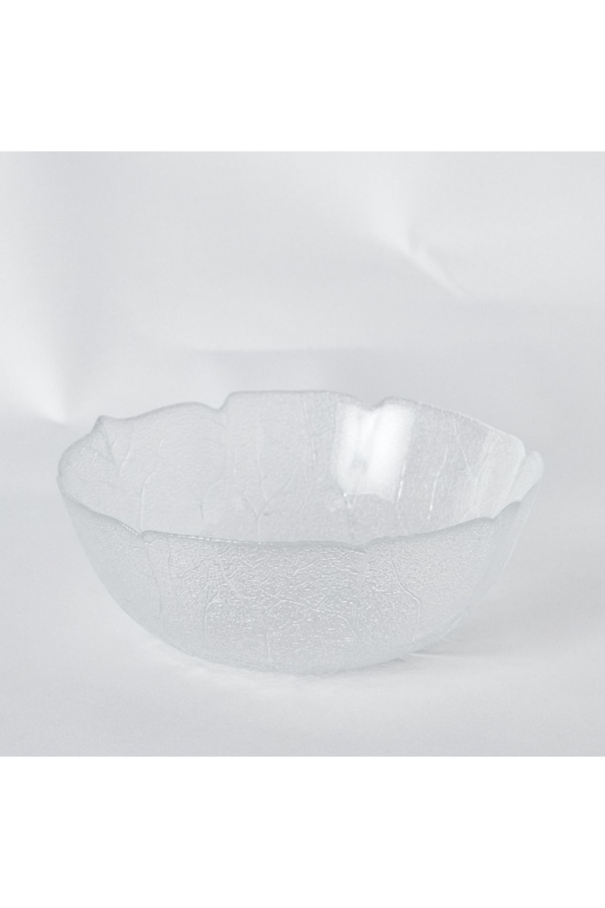 Luminarc-Temp Aspen Bowl - 23 cm 6
