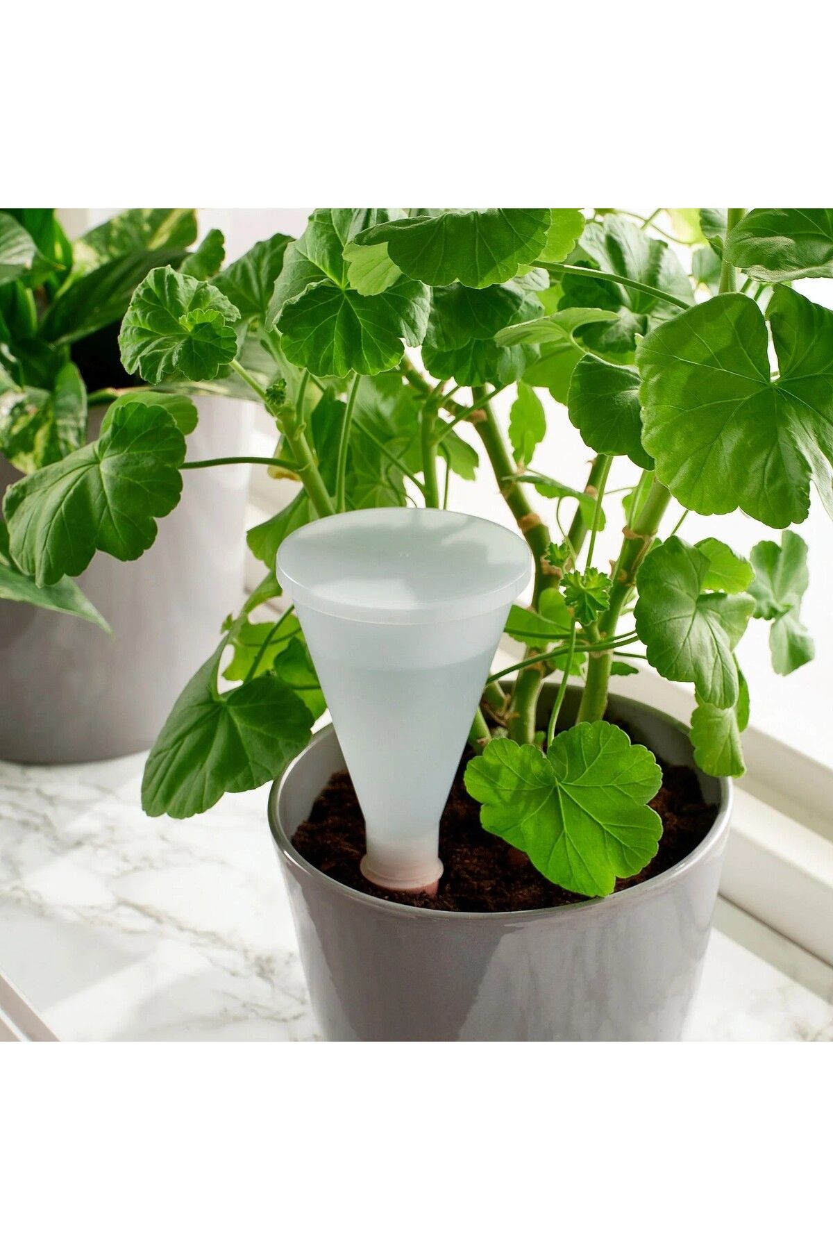 IKEA Saksı İçi Kendinden Sulama Kabı Hacim 250 ml Ikea Toprak Sulama Düzeneği Plastik Sulayıcı