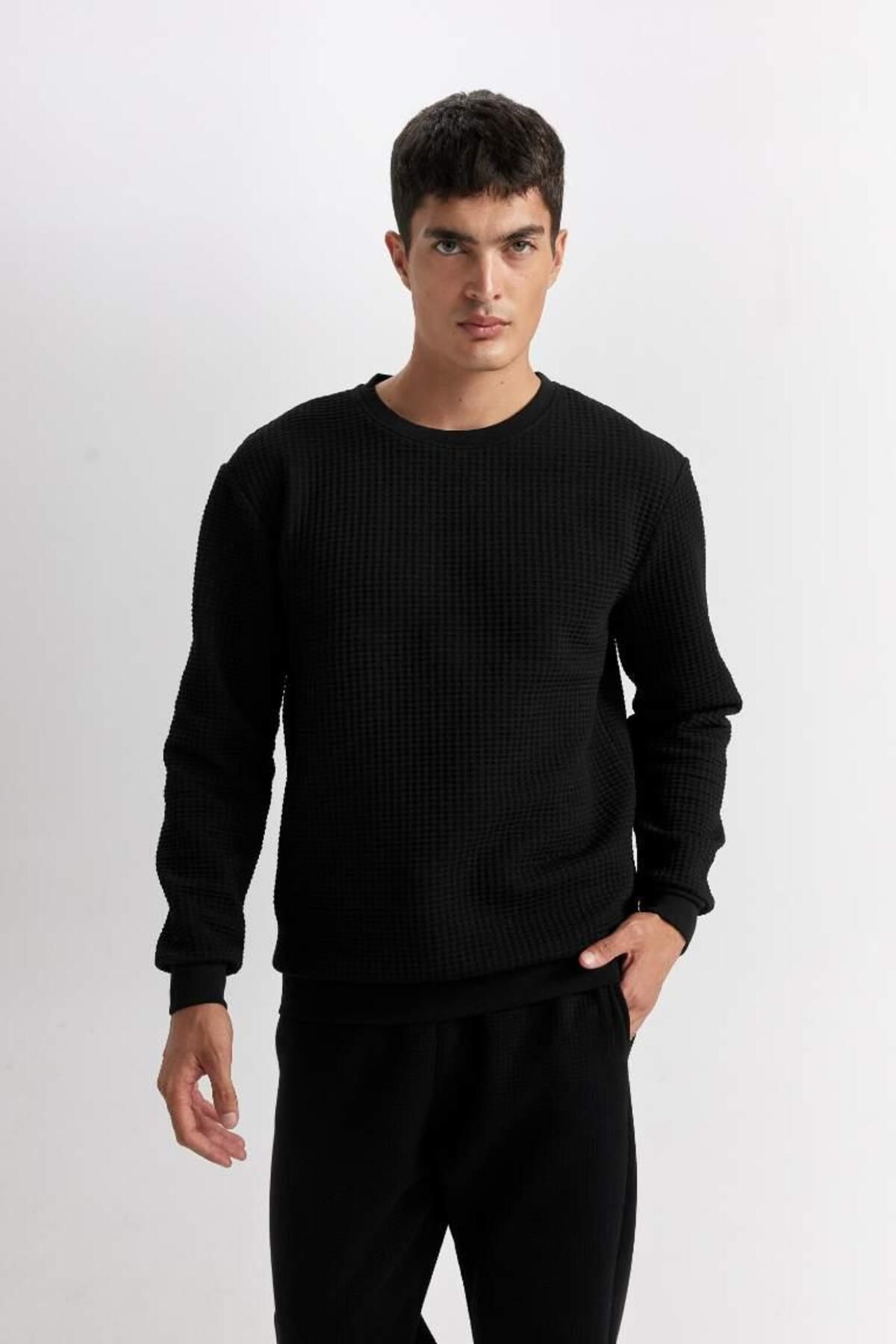 DeFacto Erkek Siyah Regular Fit Bisiklet Yaka Jakarlı Sweatshirts BLACK