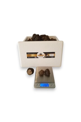 Gurme Trüf Mantarı, Taze Siyah Trüf Mantarı, 20 Gr, ( Tuber Aestivum)